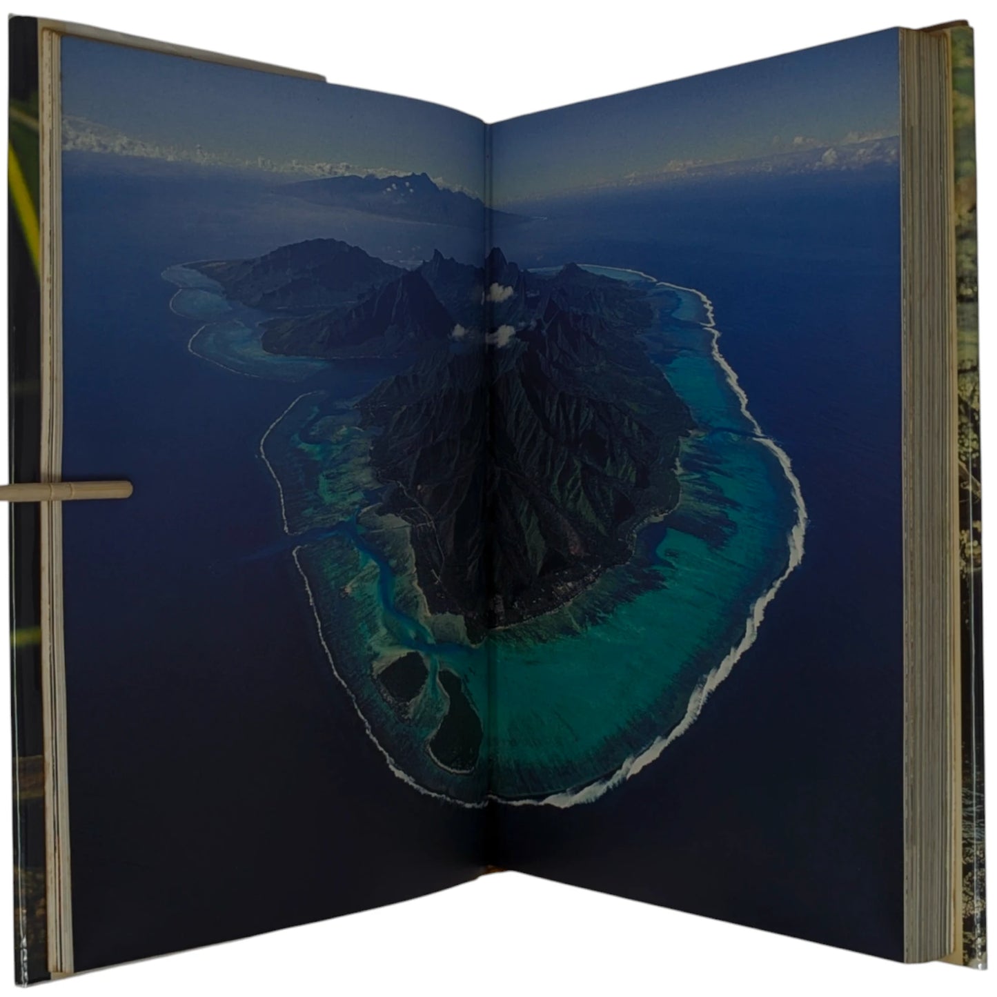 Life on Earth: A Natural History
