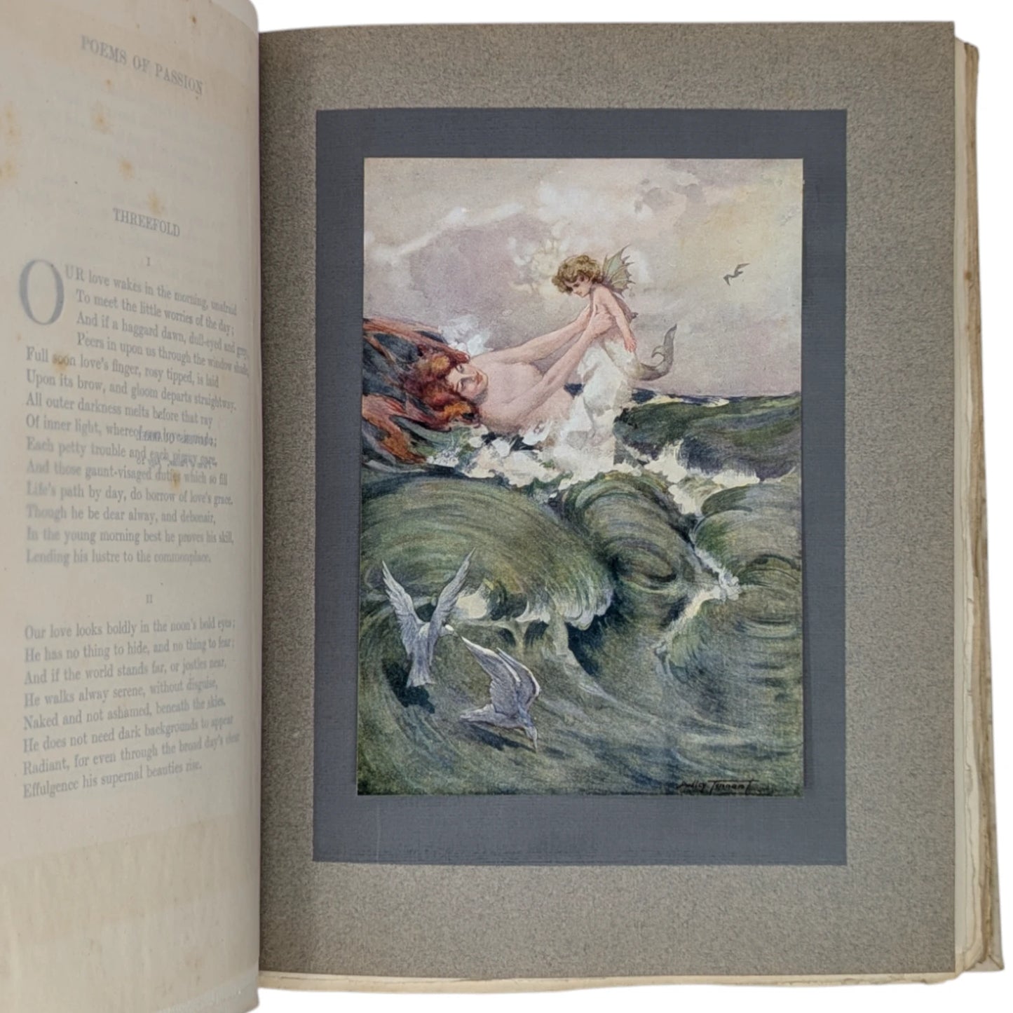 Poems of Passion and Pleasure