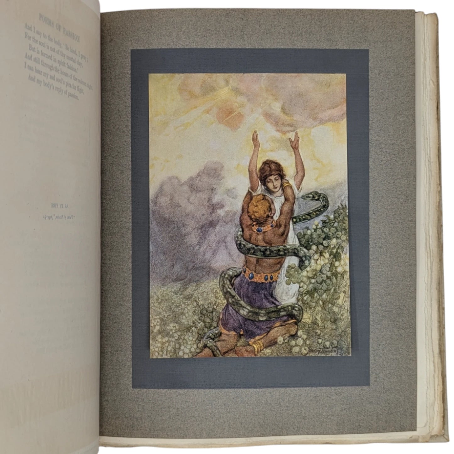 Poems of Passion and Pleasure