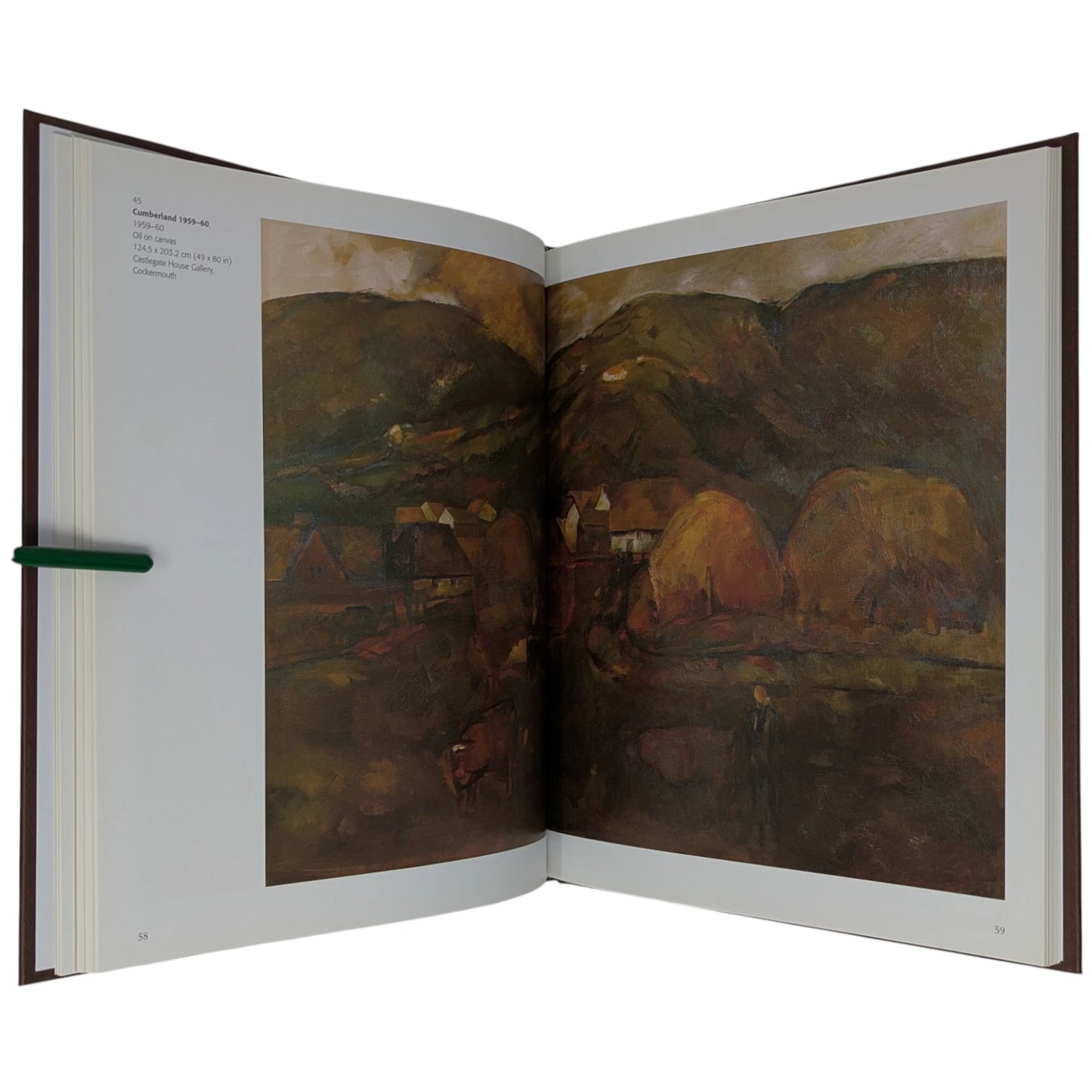 Sheila Fell: A Passion For Paint