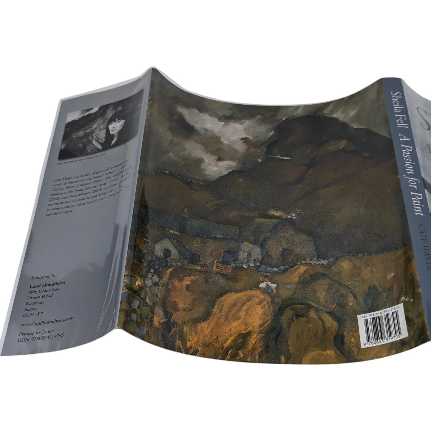 Sheila Fell: A Passion For Paint