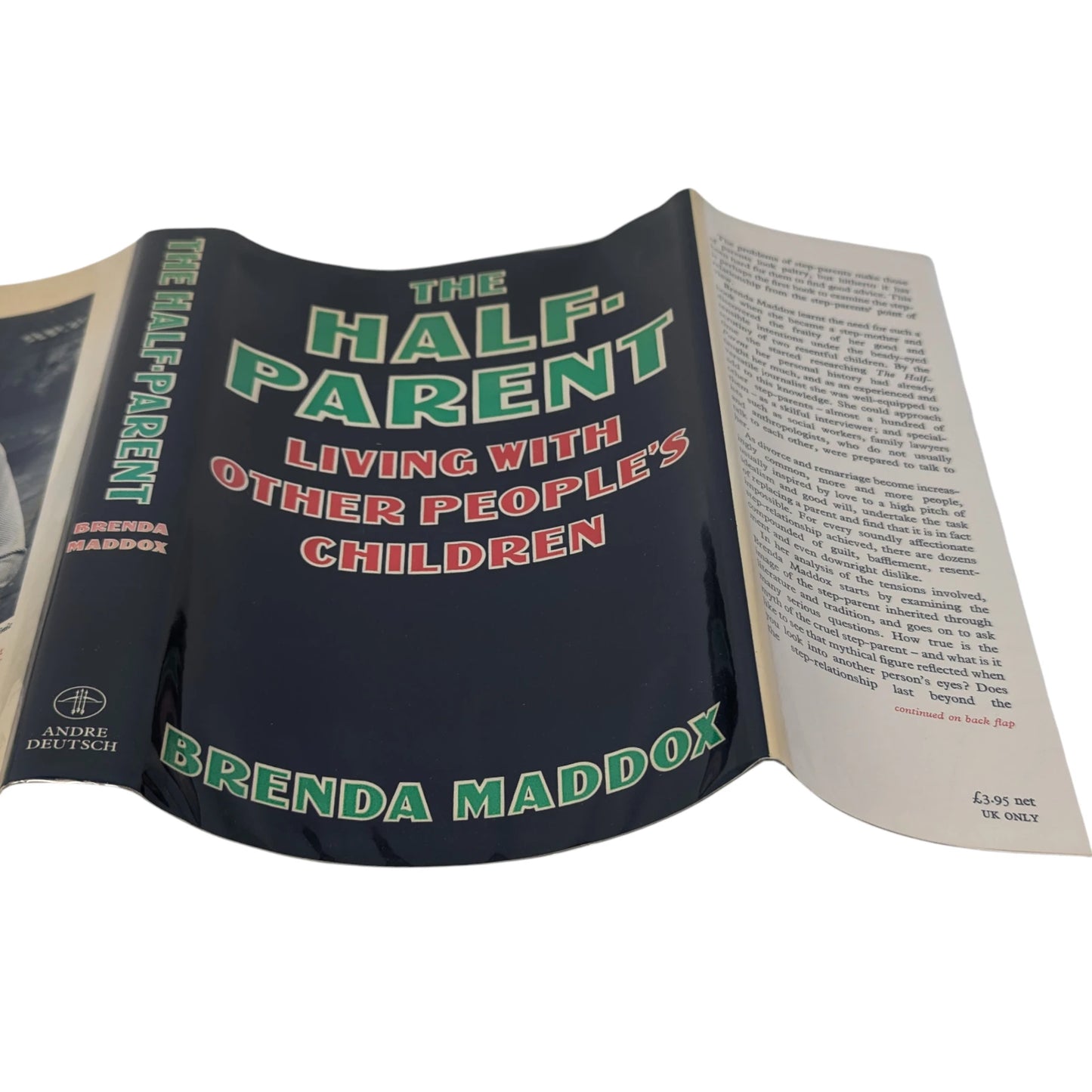 The Half-Parent: Living with Other People's Children