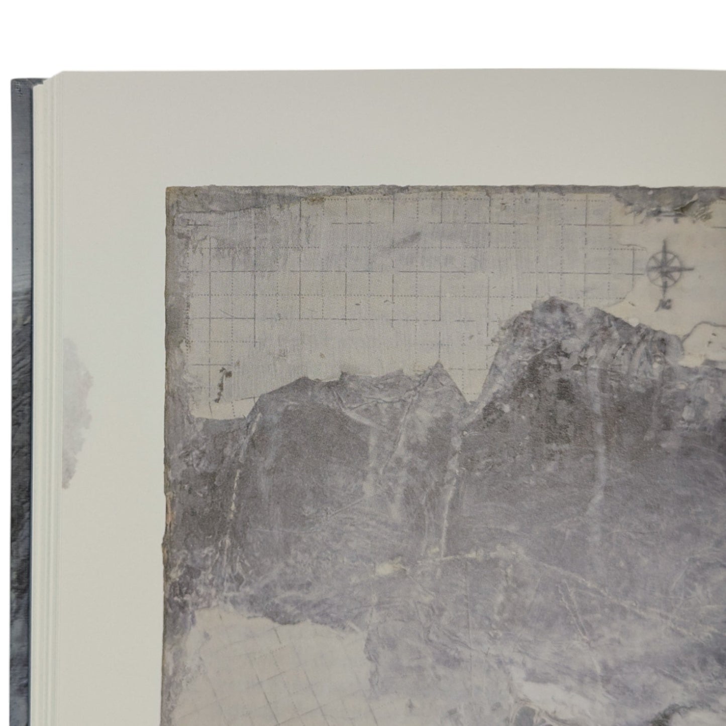 The Living Mountain (Signed Edition)