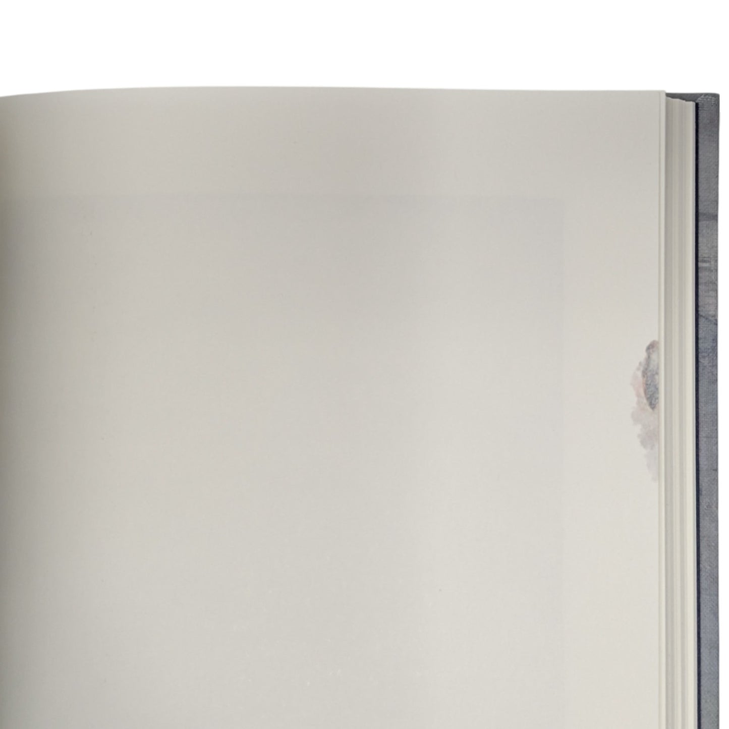The Living Mountain (Signed Edition)