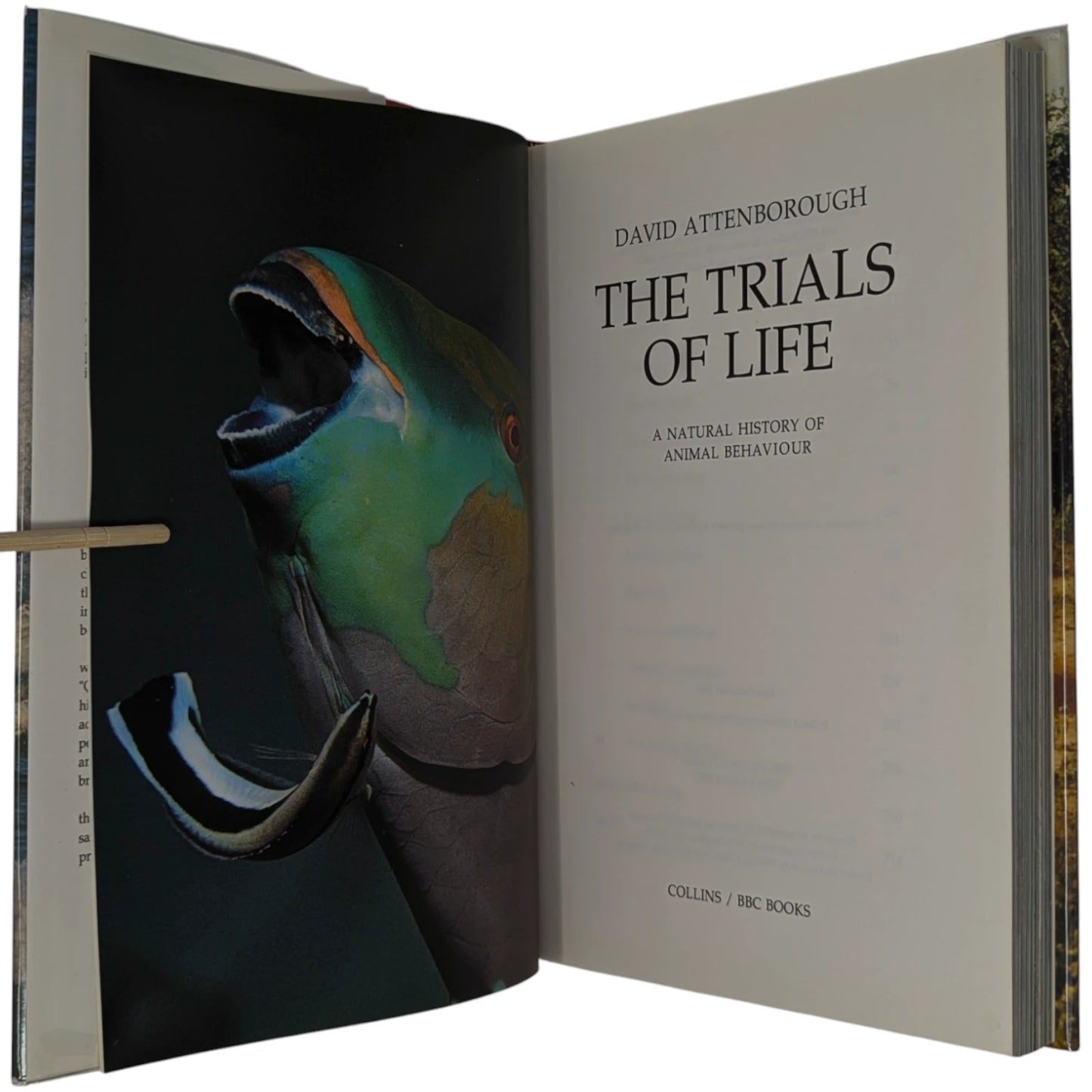 The Trials of Life