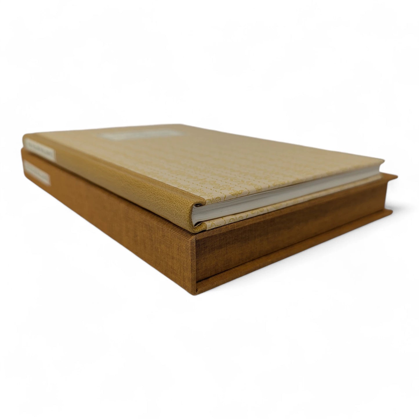 The Yellow Wall-Paper