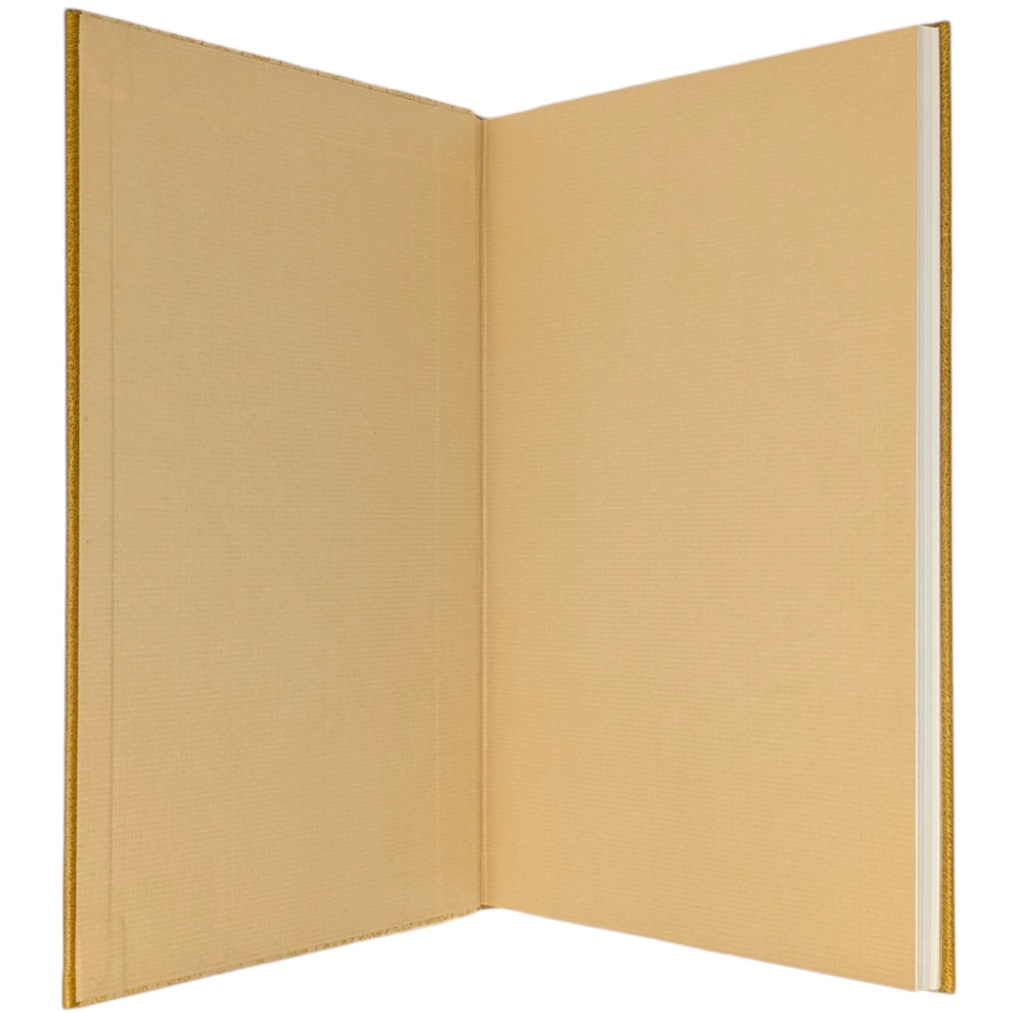 The Yellow Wall-Paper