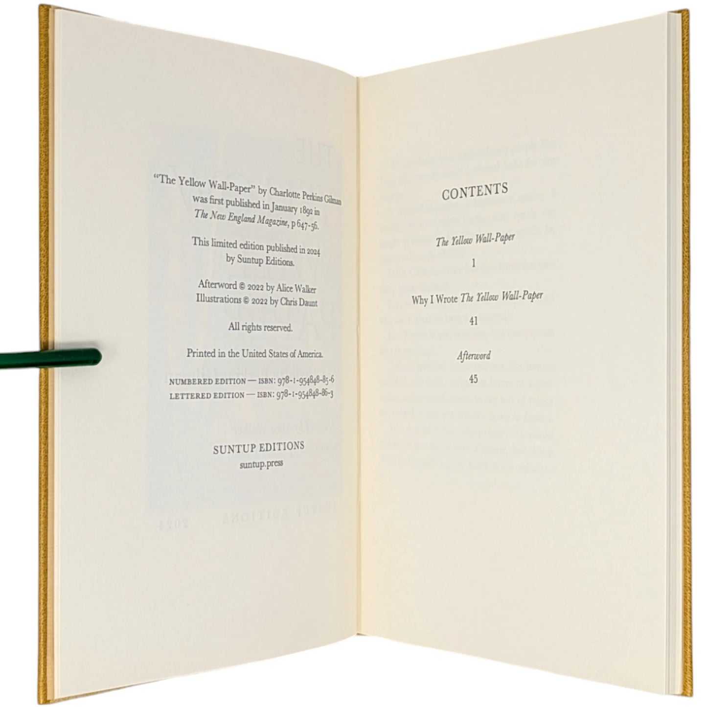 The Yellow Wall-Paper