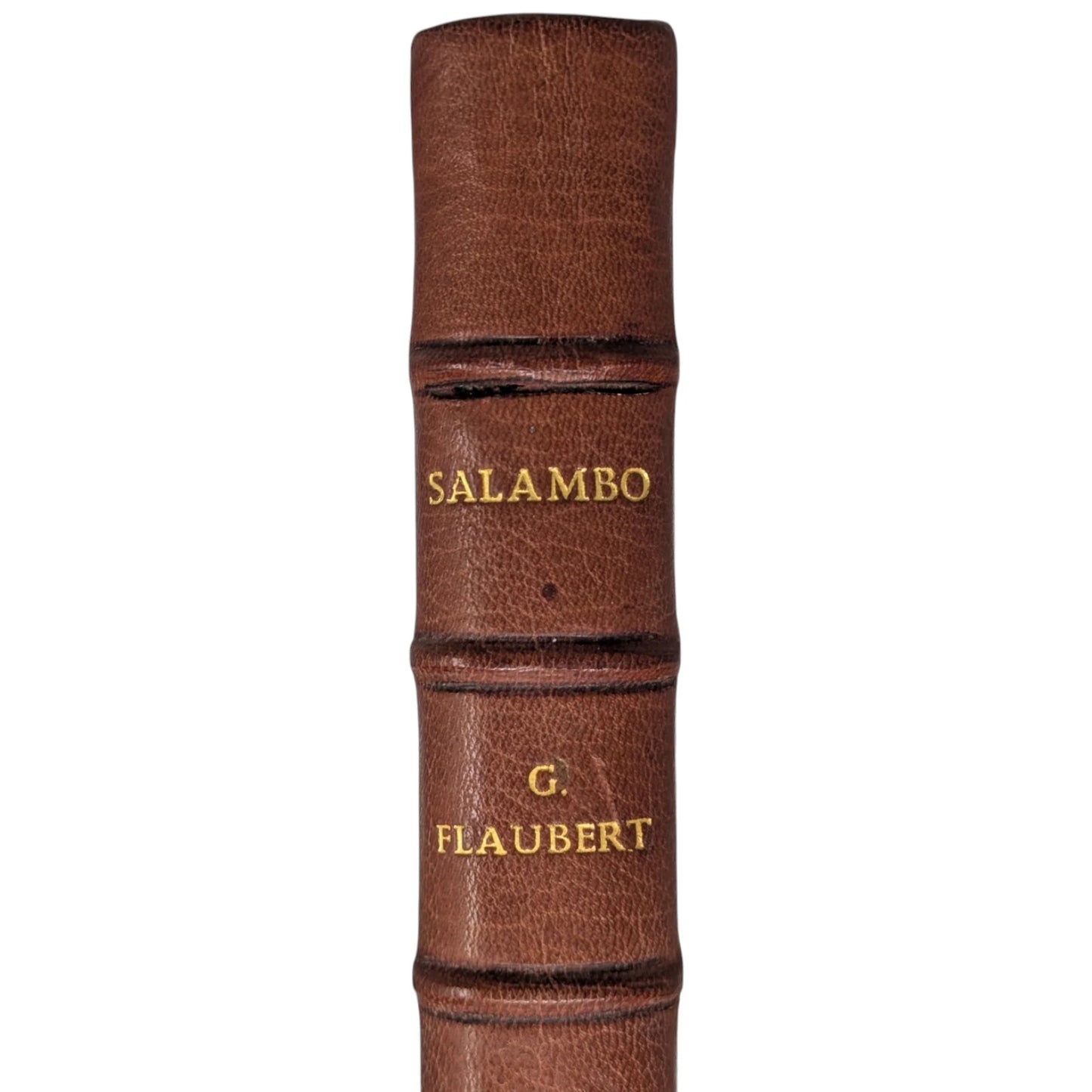 Salambo