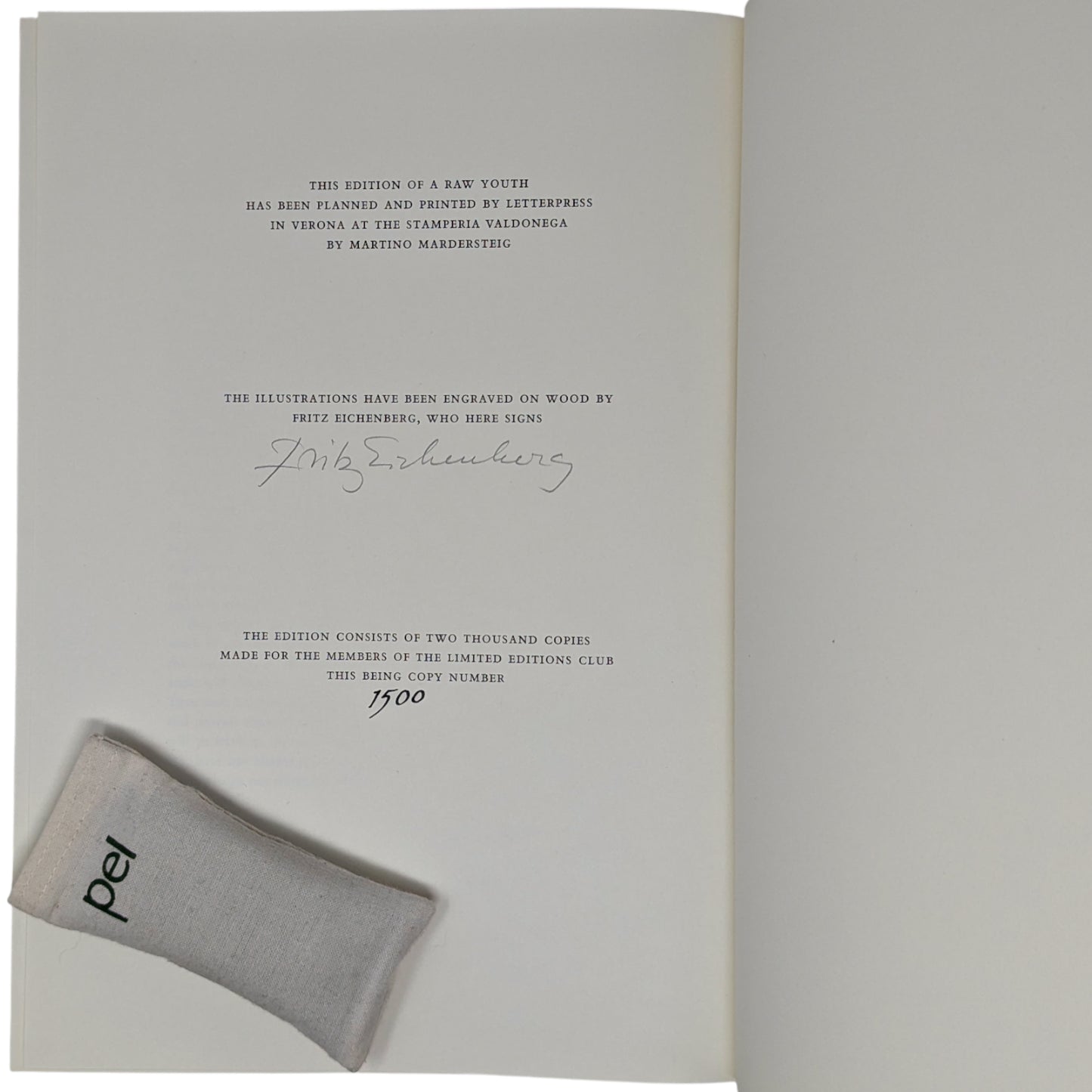 A Raw Youth (The Adolescent)