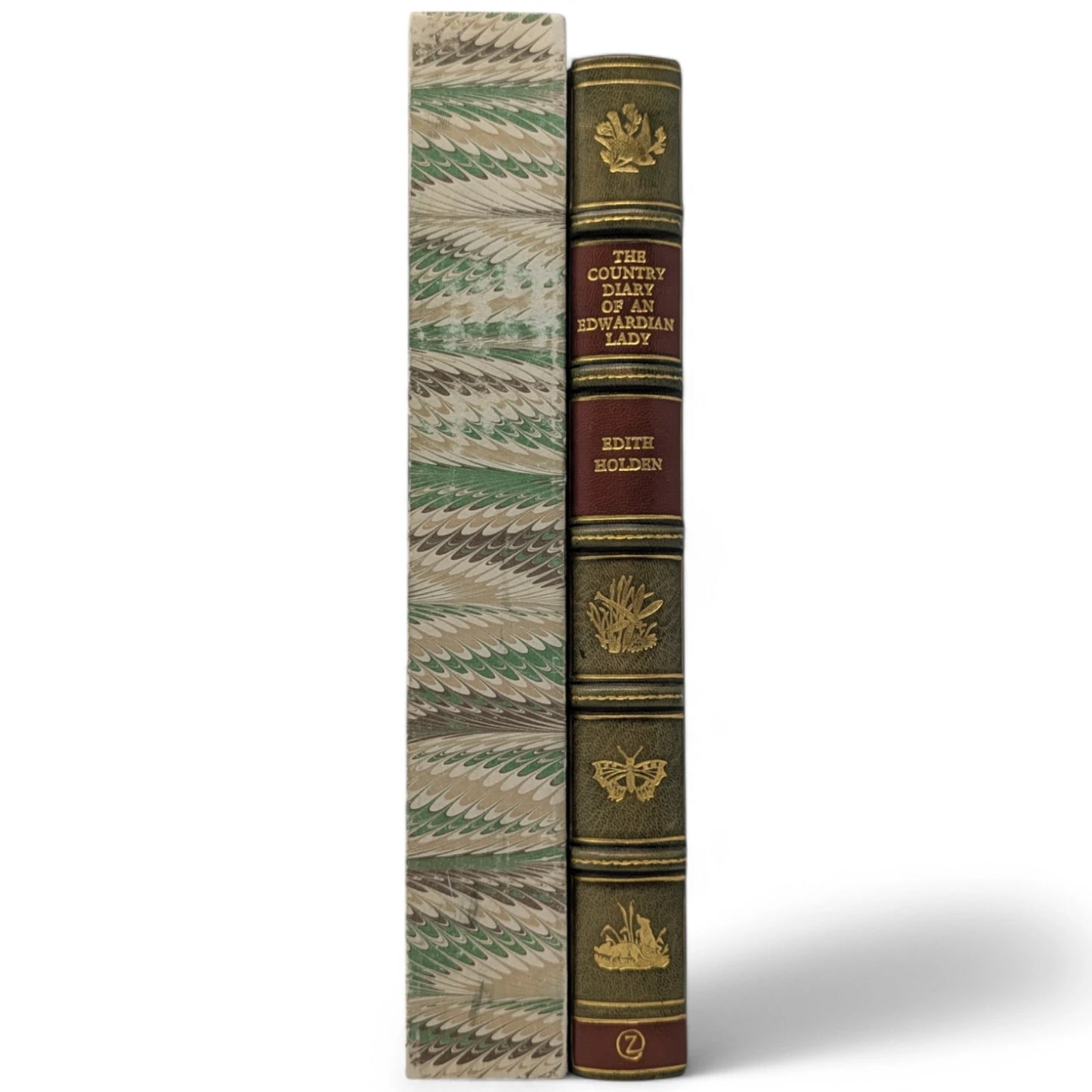 The Country Diary of an Edwardian Lady