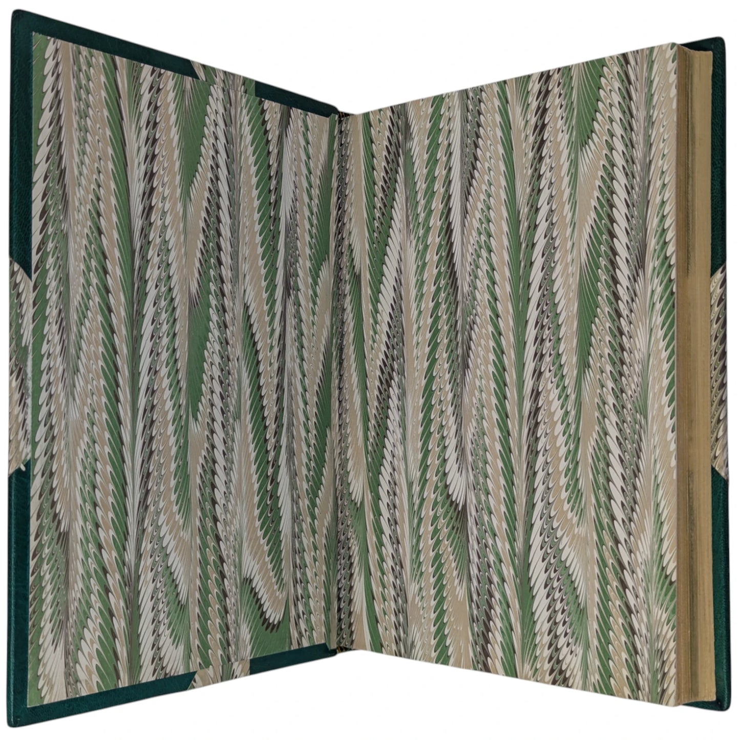 The Country Diary of an Edwardian Lady
