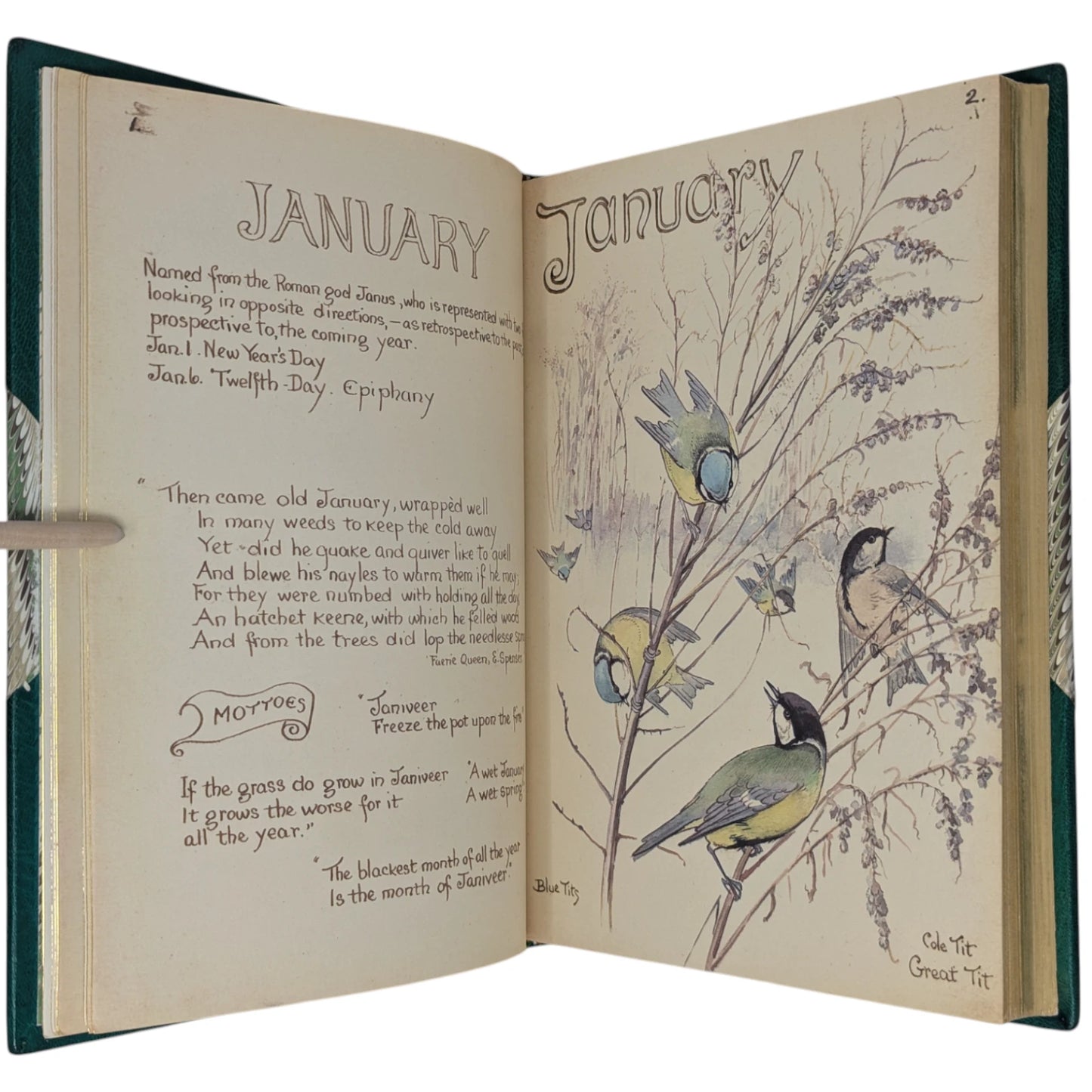 The Country Diary of an Edwardian Lady