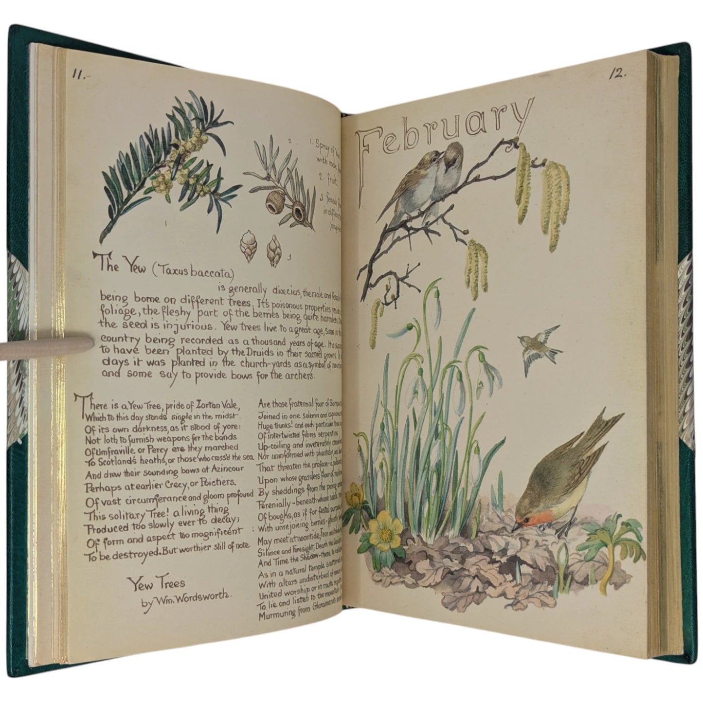 The Country Diary of an Edwardian Lady