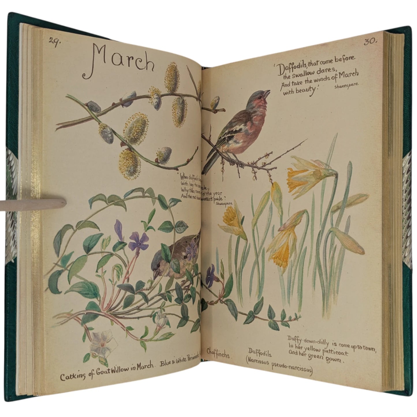 The Country Diary of an Edwardian Lady