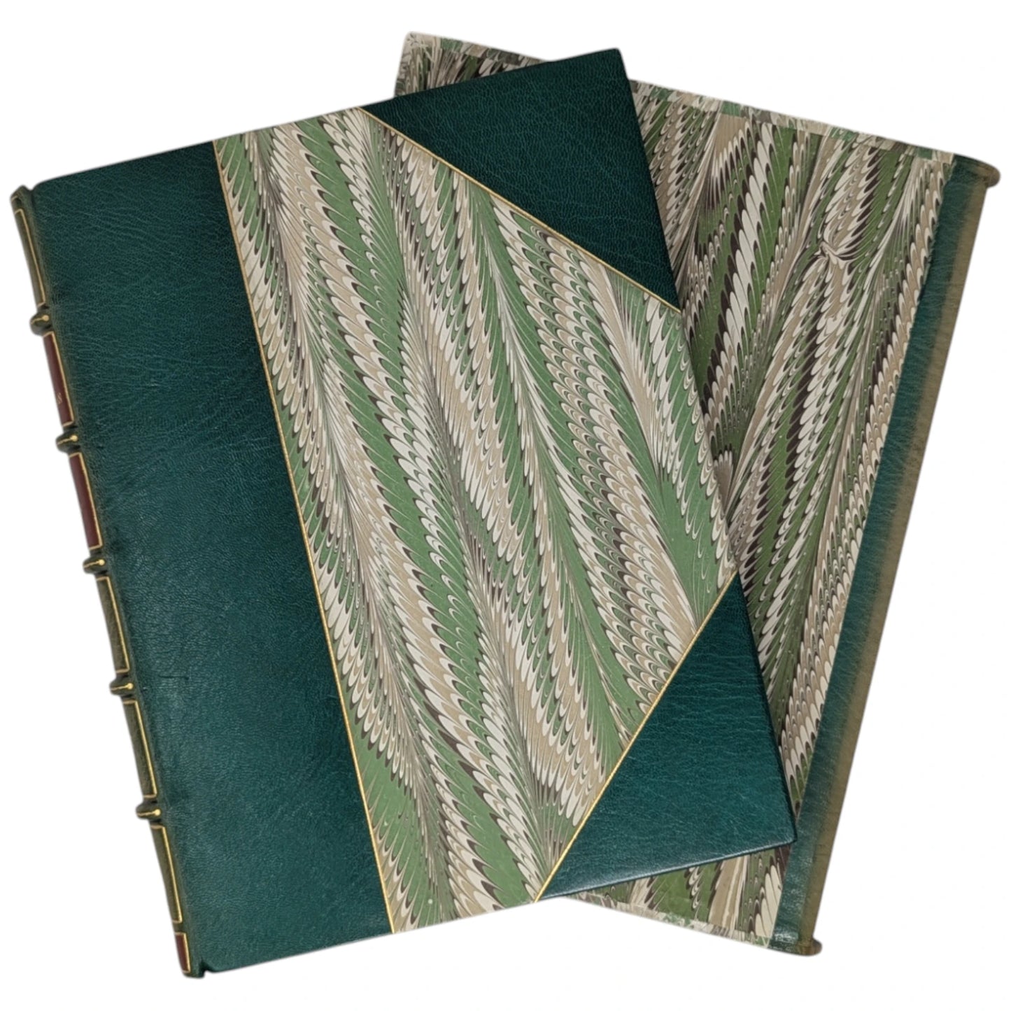 The Country Diary of an Edwardian Lady