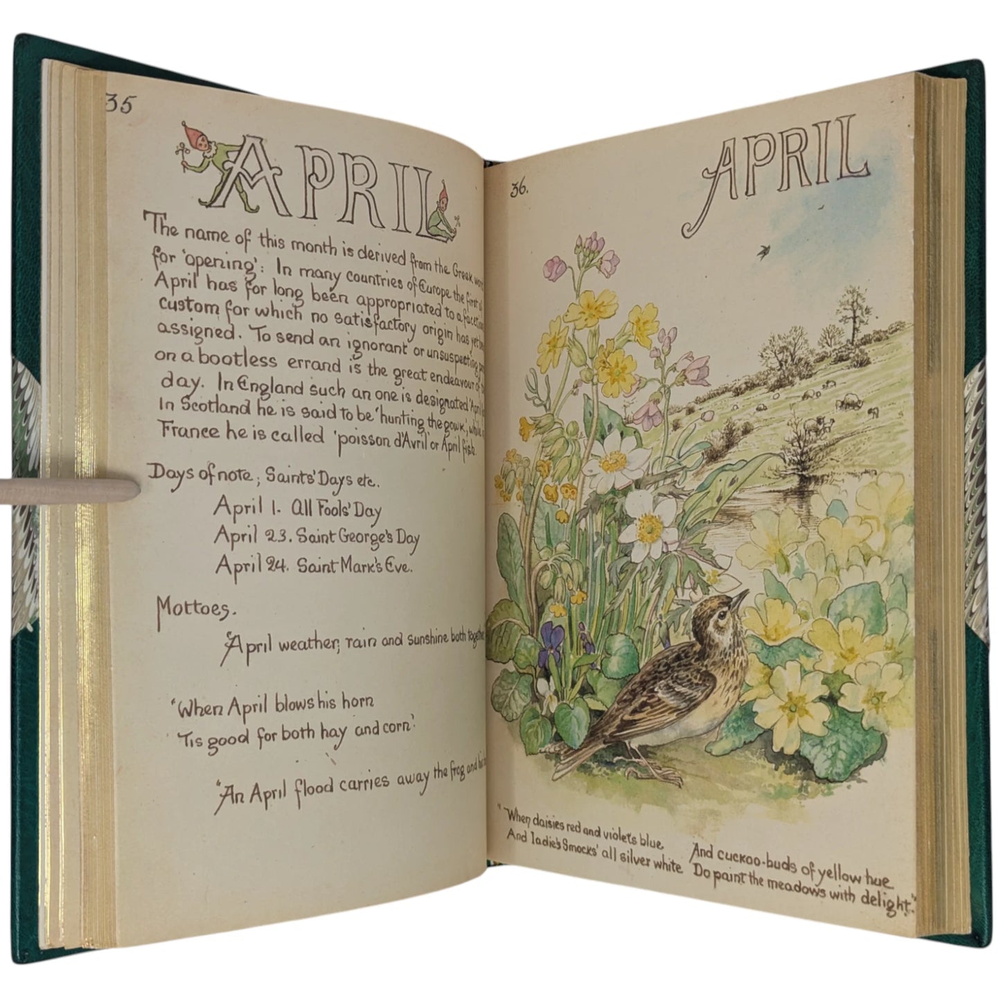 The Country Diary of an Edwardian Lady
