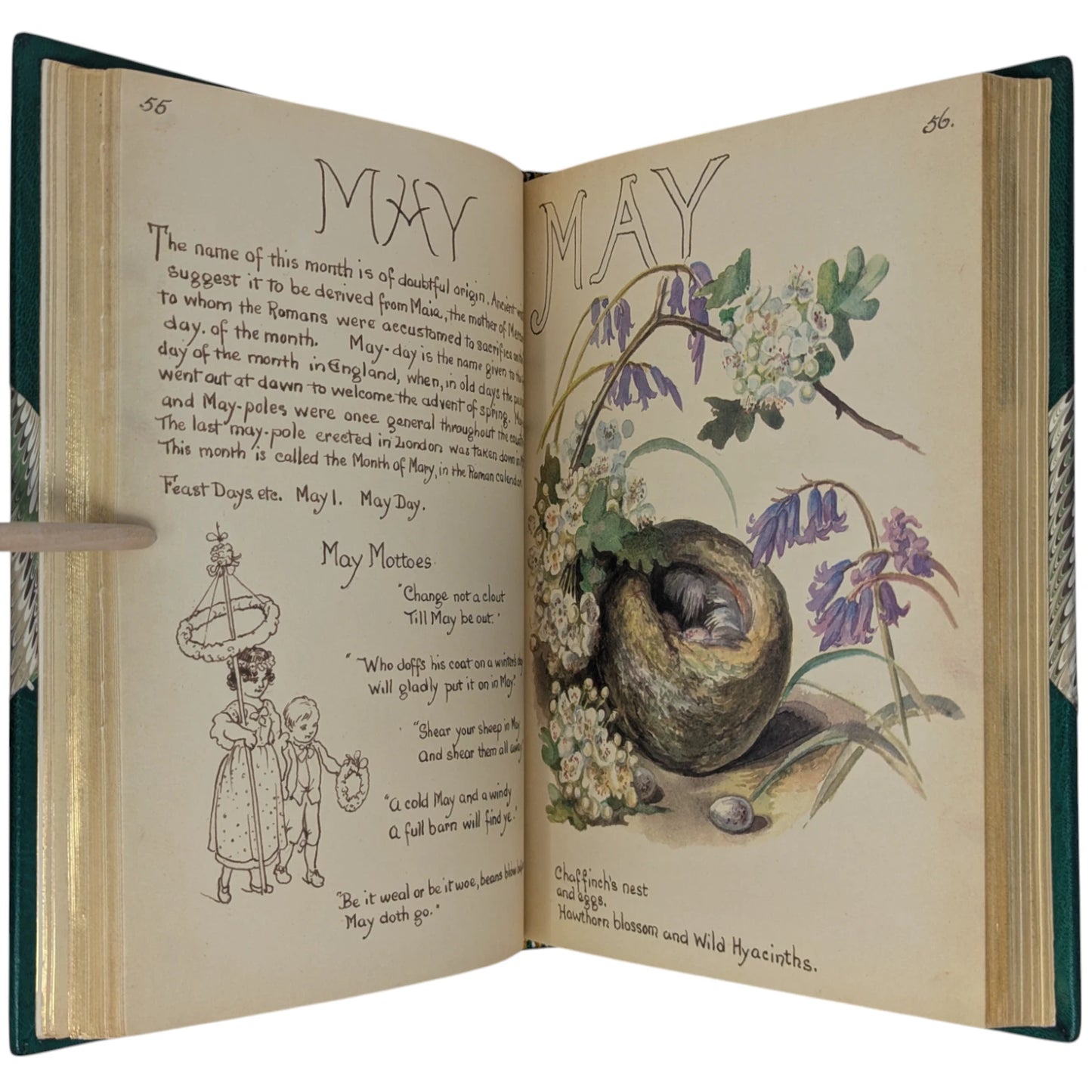 The Country Diary of an Edwardian Lady