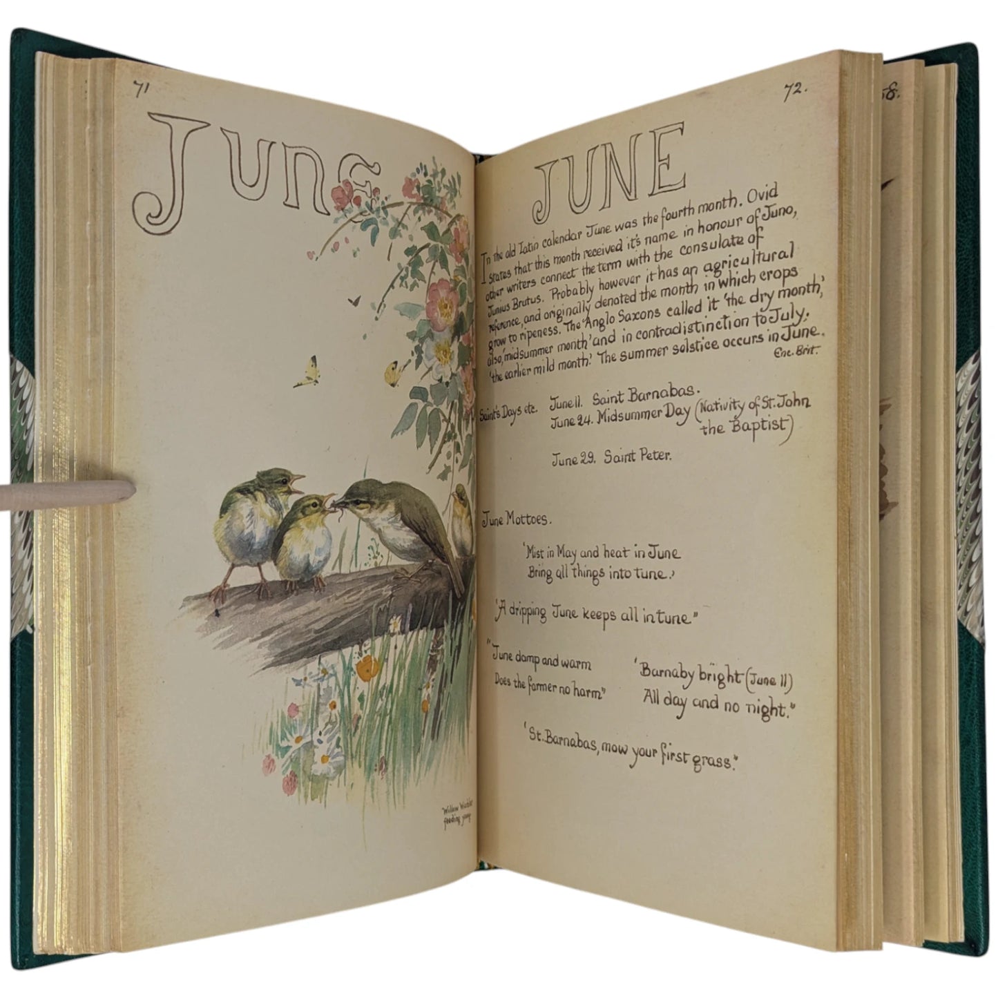 The Country Diary of an Edwardian Lady