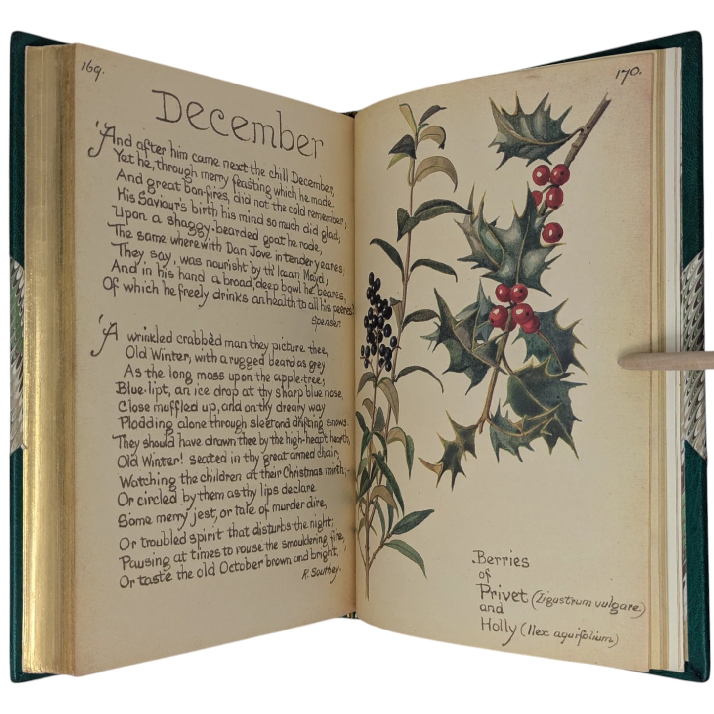 The Country Diary of an Edwardian Lady