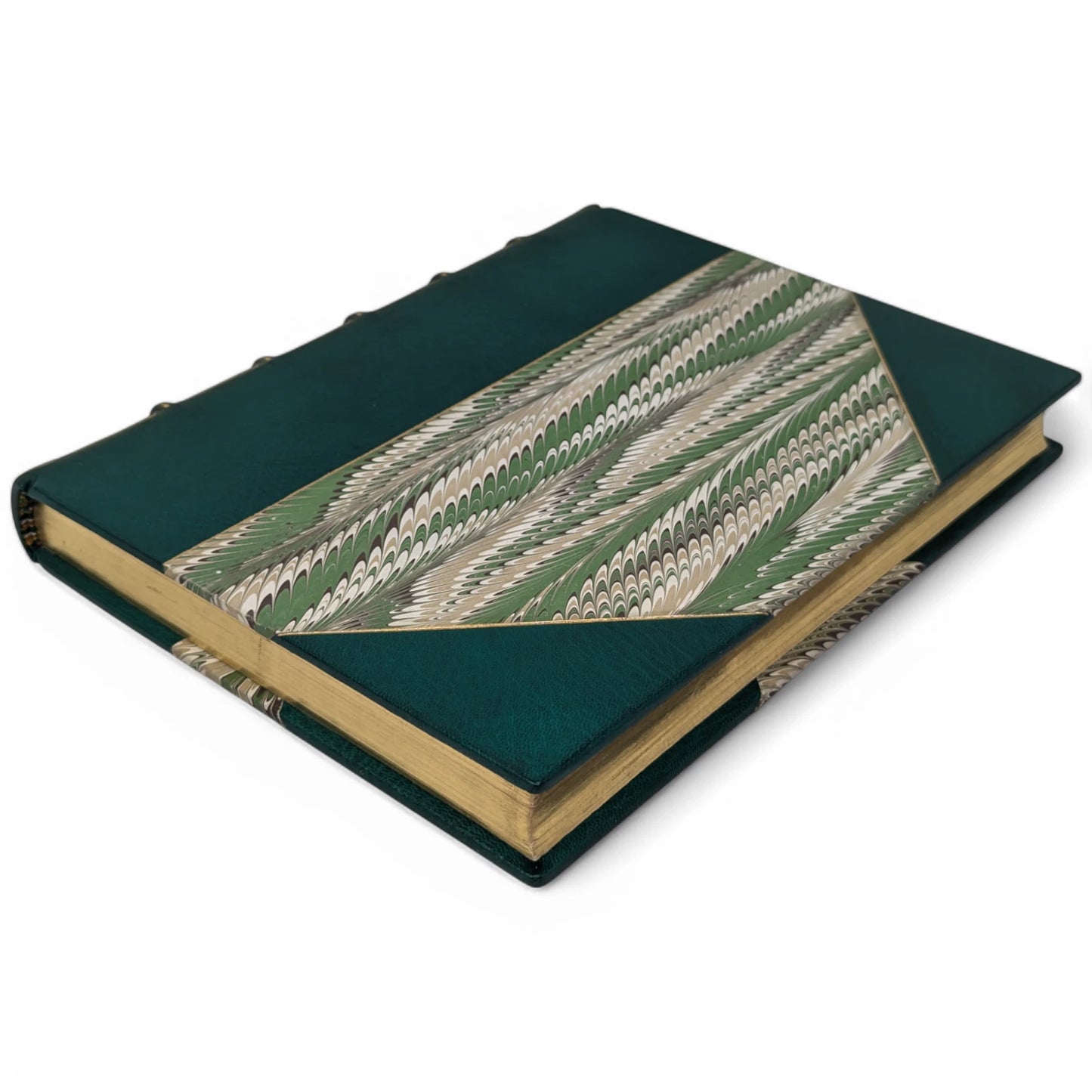 The Country Diary of an Edwardian Lady