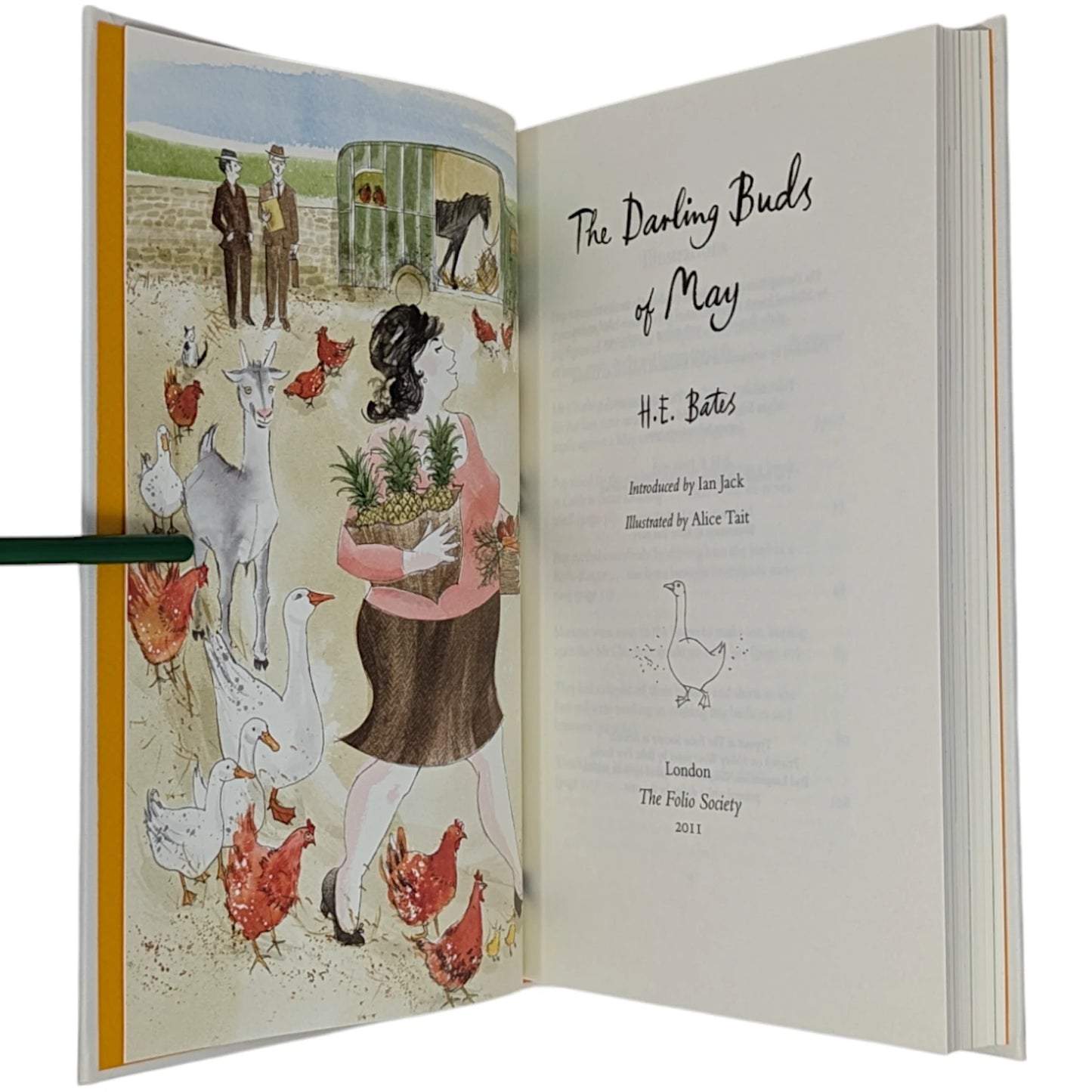 The Darling Buds of May