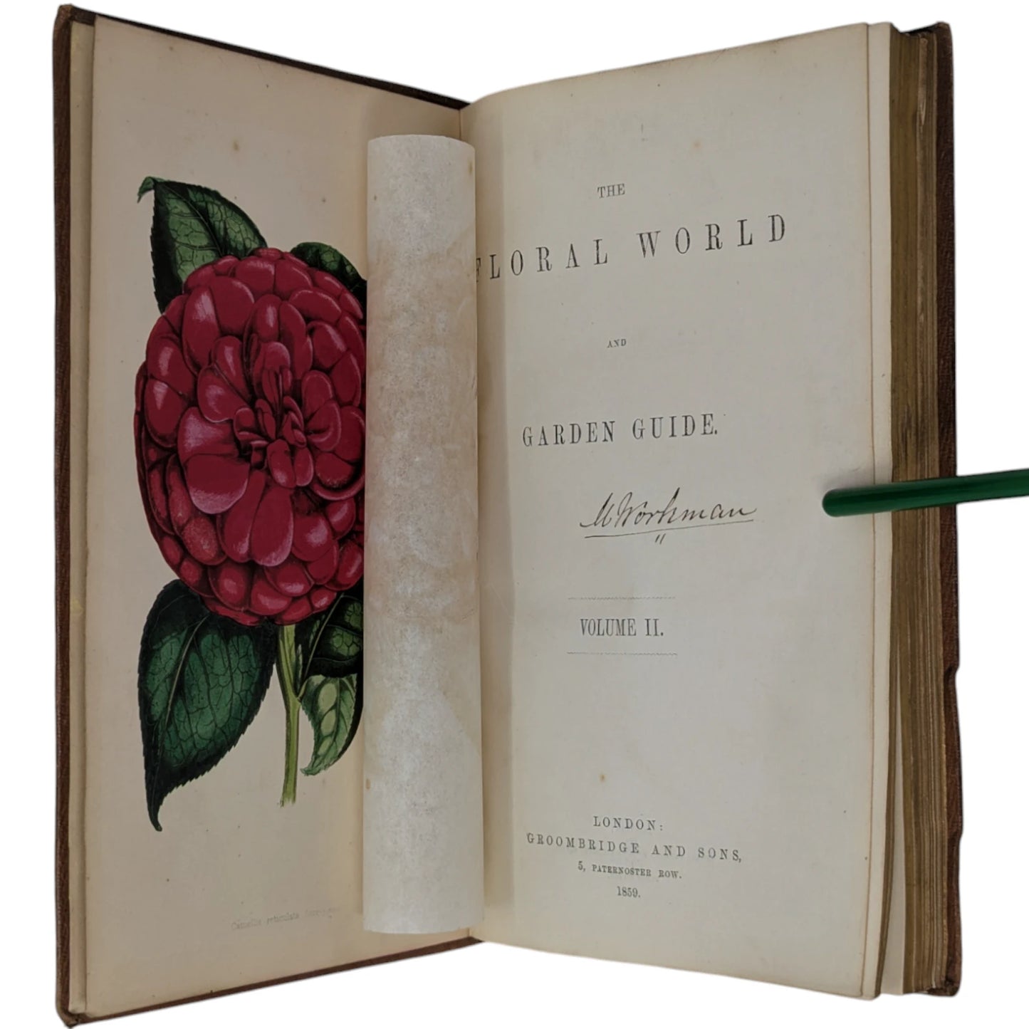 The Floral World and Garden Guide