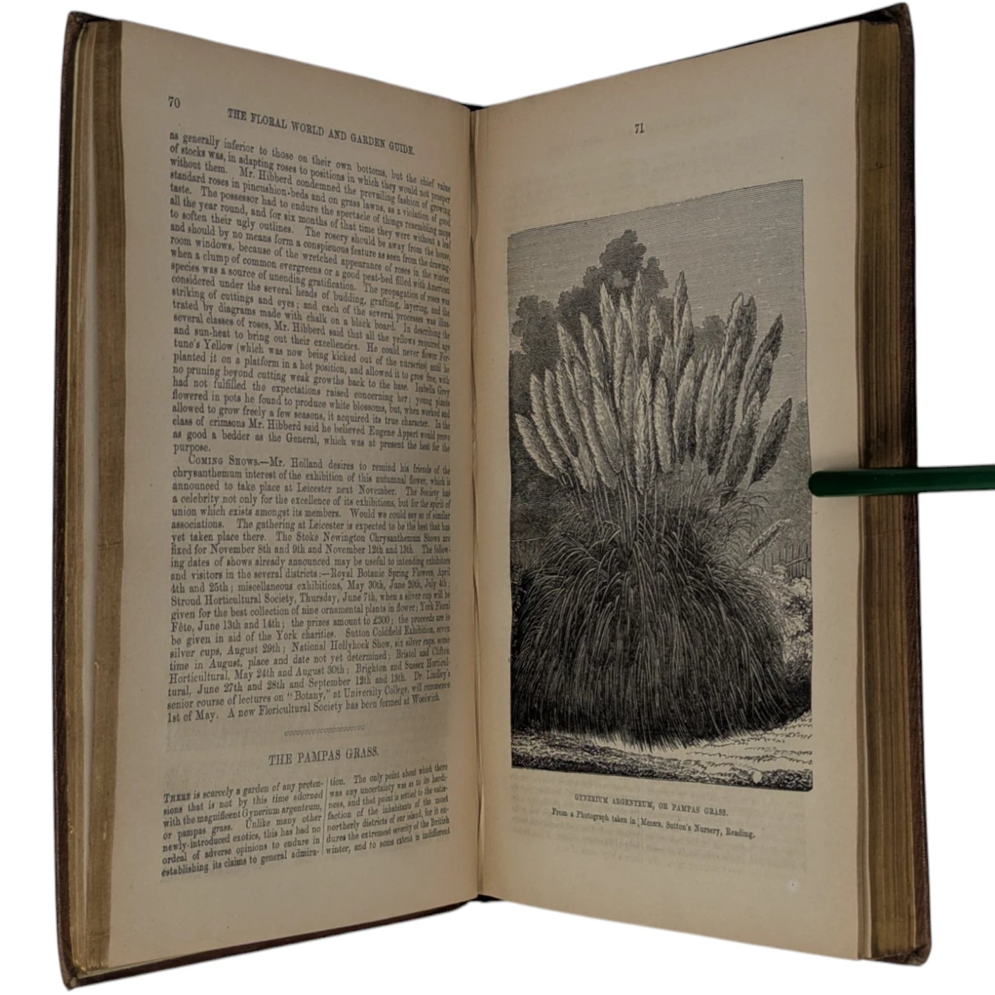 The Floral World and Garden Guide