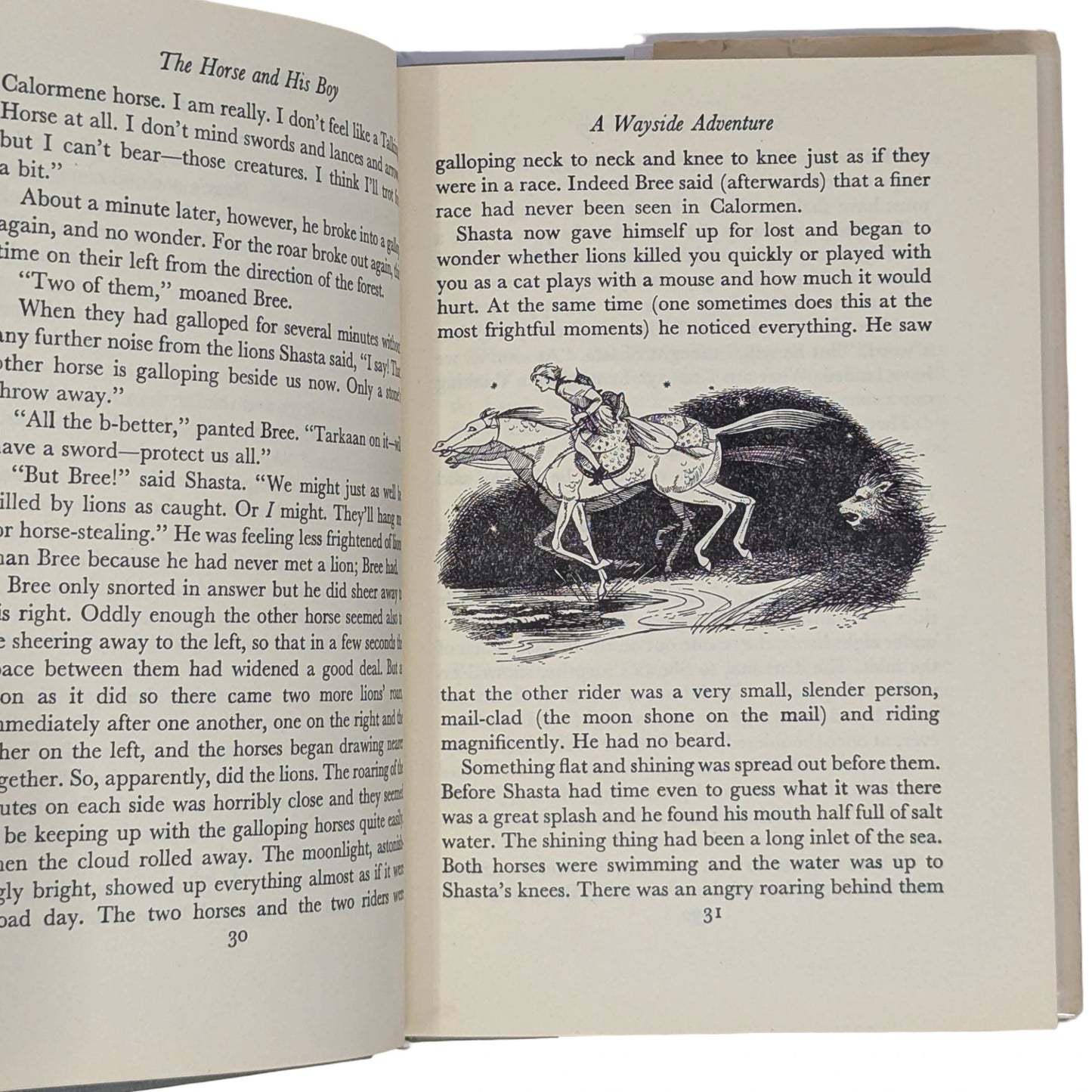 The Horse and His Boy (The Chronicles of Narnia)