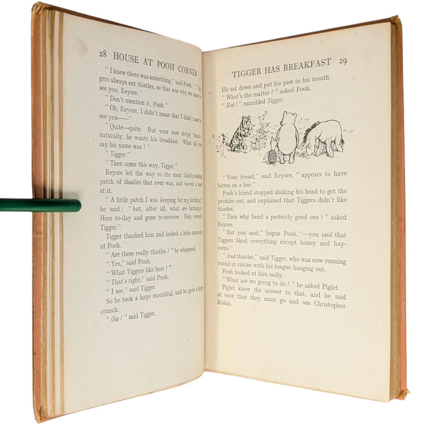 The House at Pooh Corner