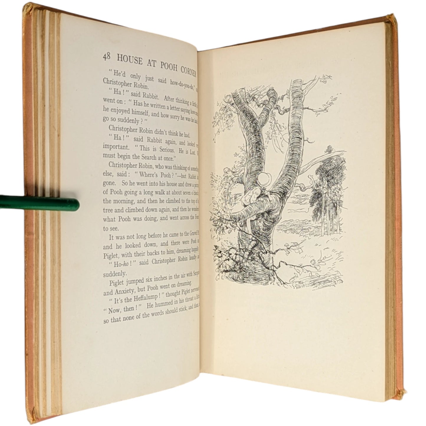 The House at Pooh Corner