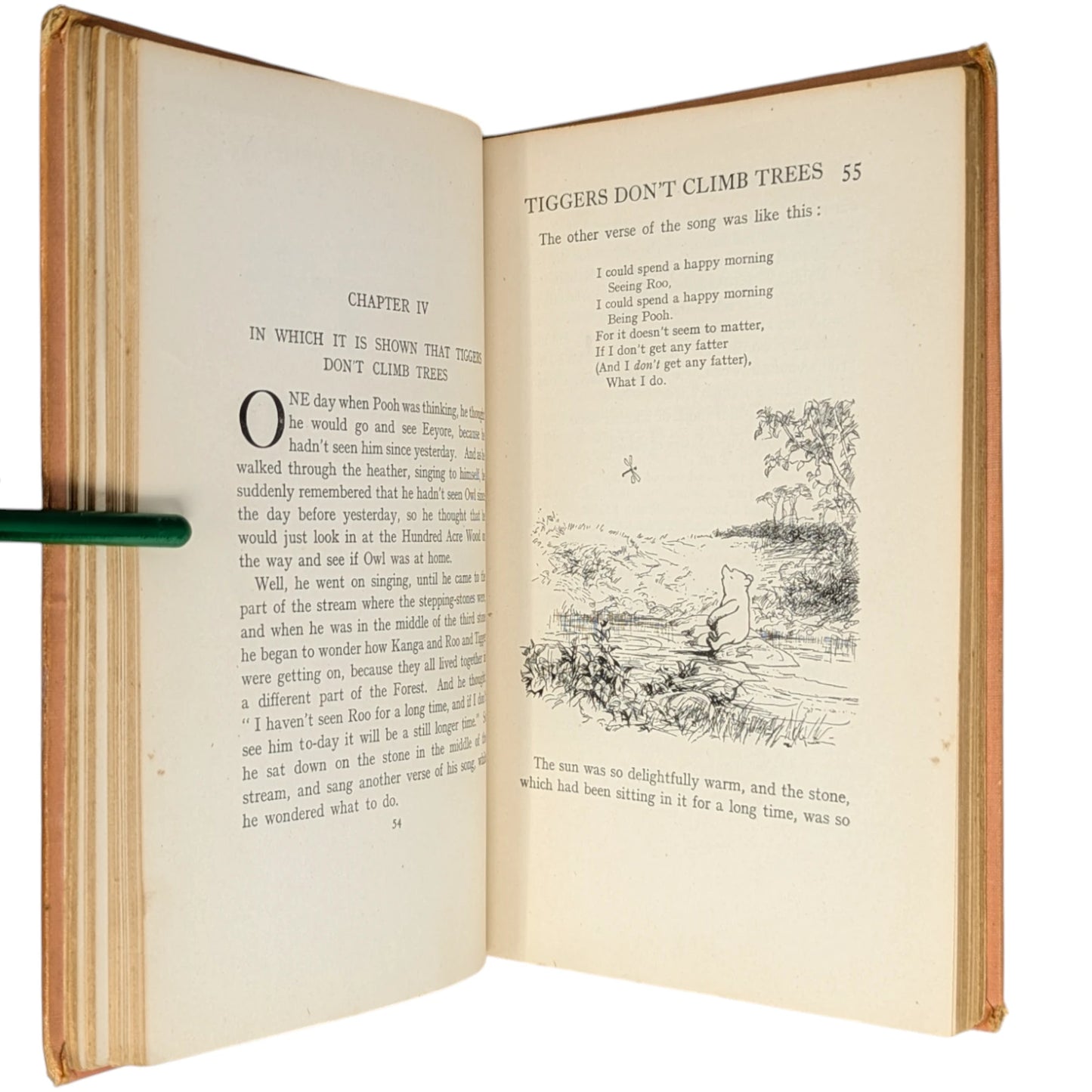 The House at Pooh Corner