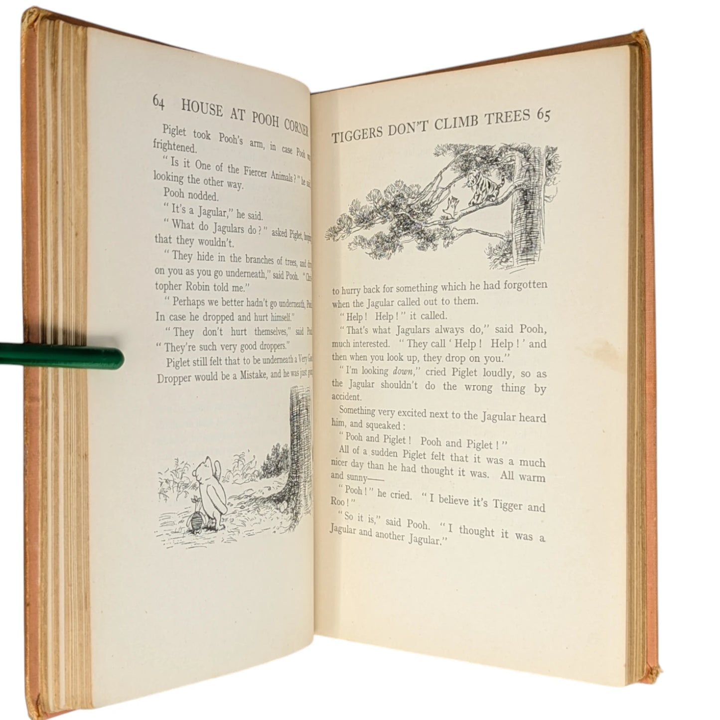 The House at Pooh Corner