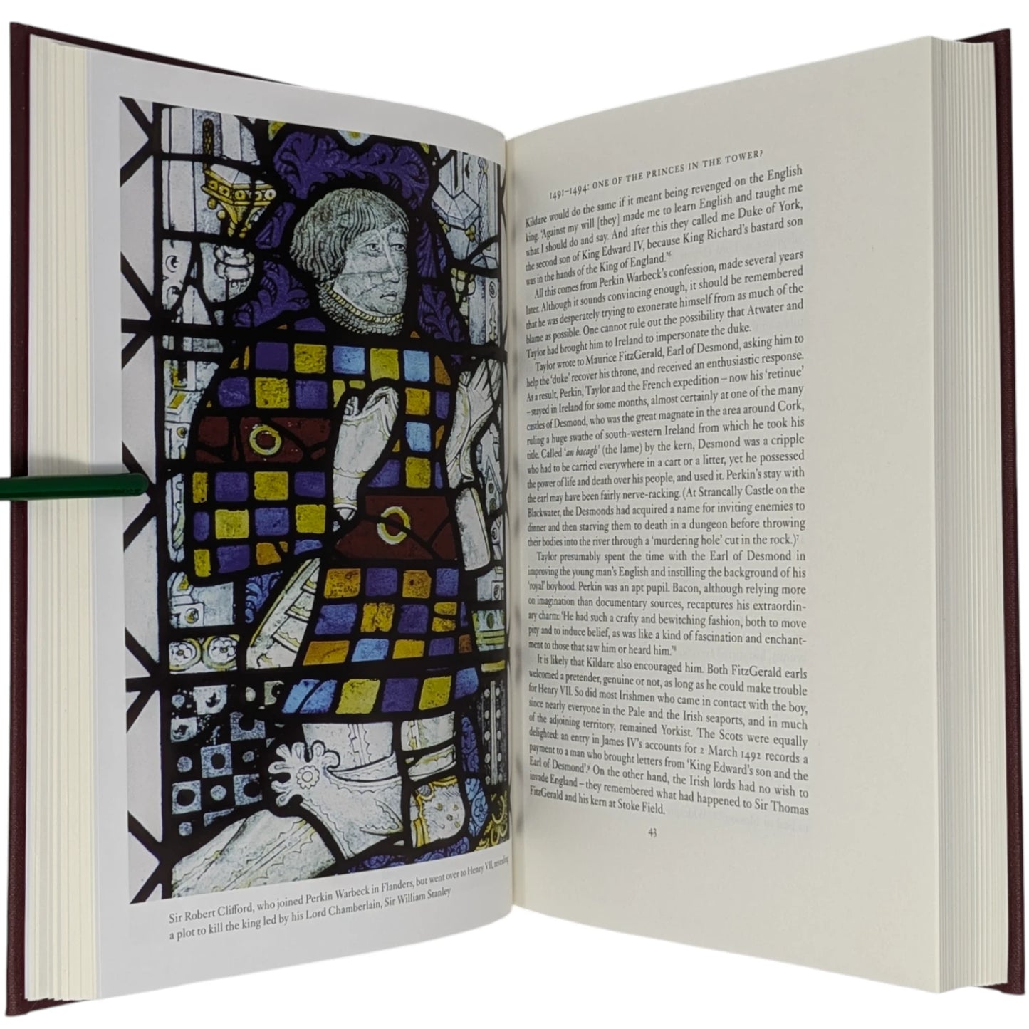 The Last White Rose: The Secret Wars of the Tudors