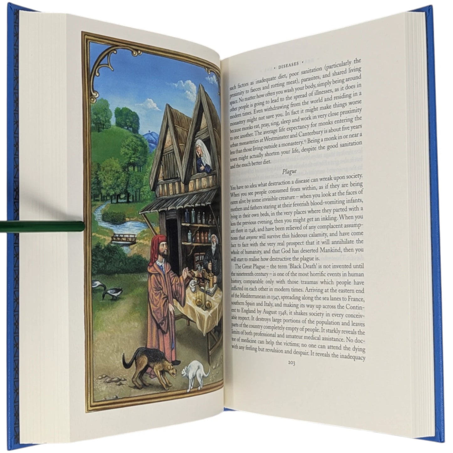 The Time Traveller's Guide to Medieval England
