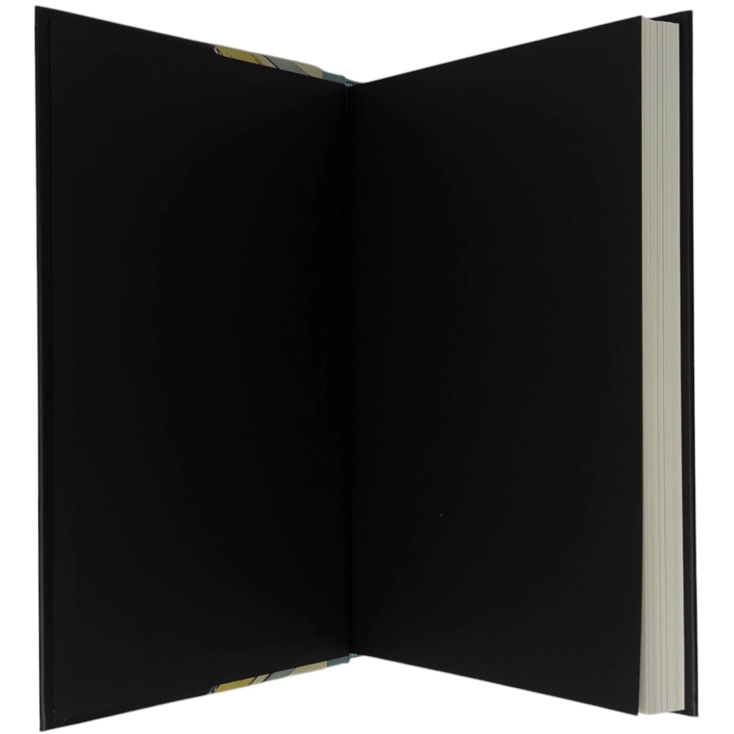 The Structure of Scientific Revolutions