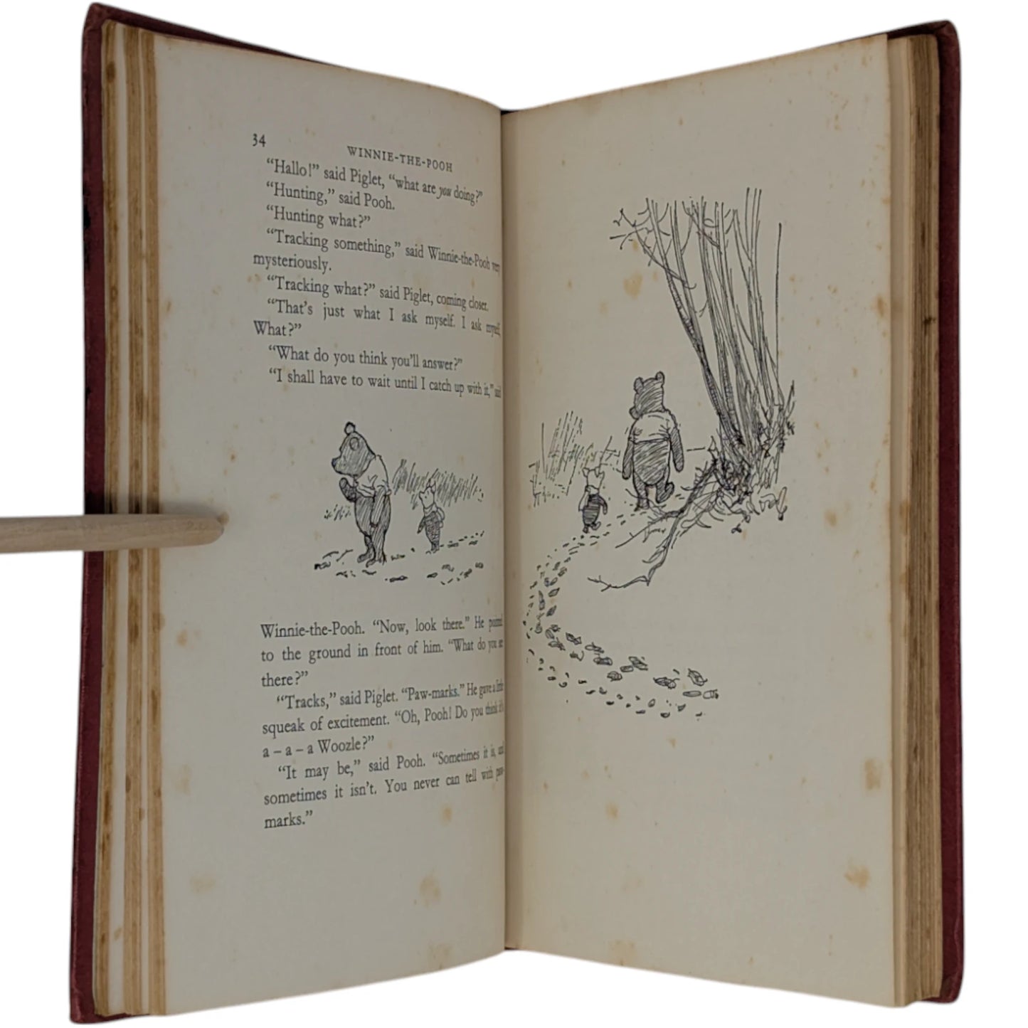 Winnie the Pooh