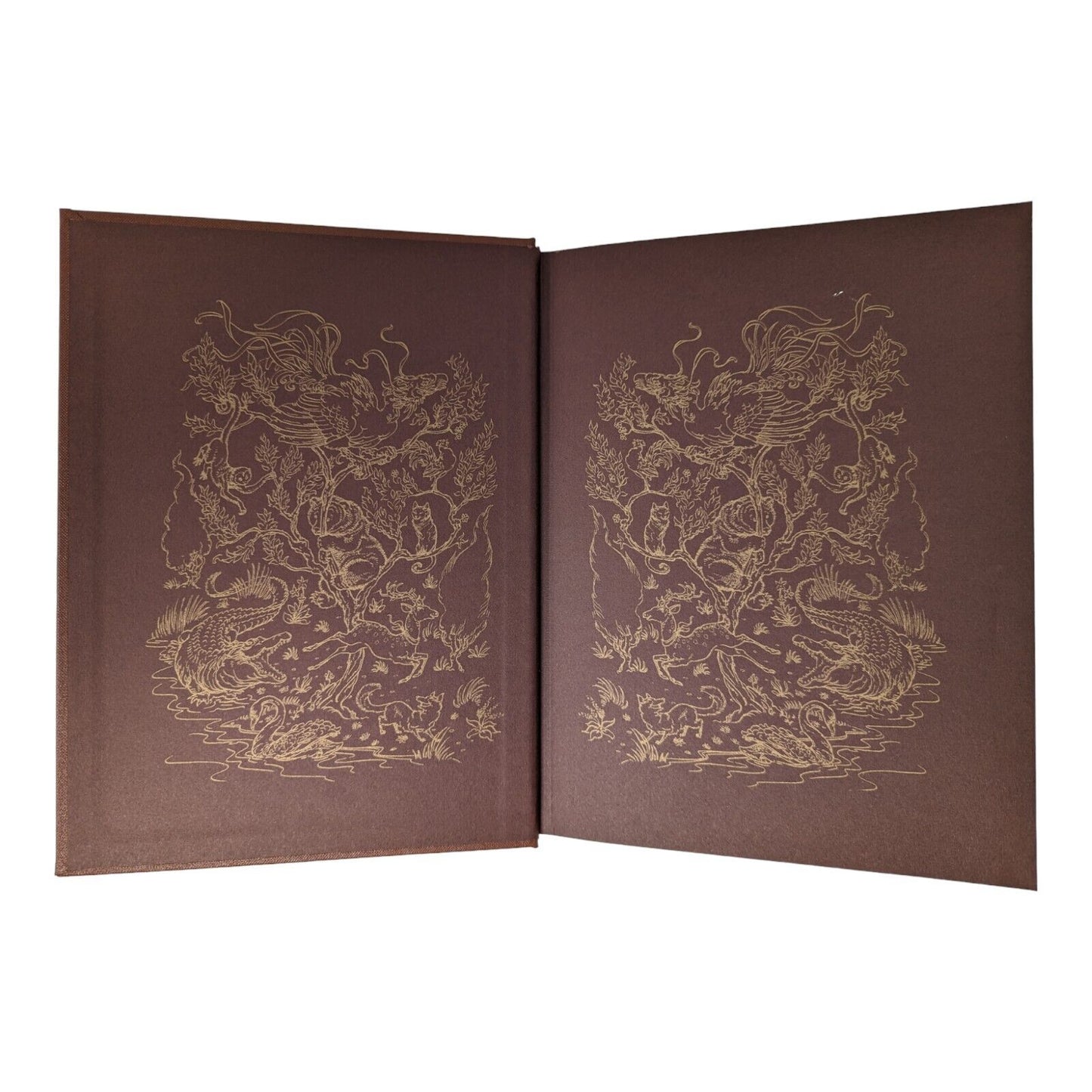 The Brown Fairy Book