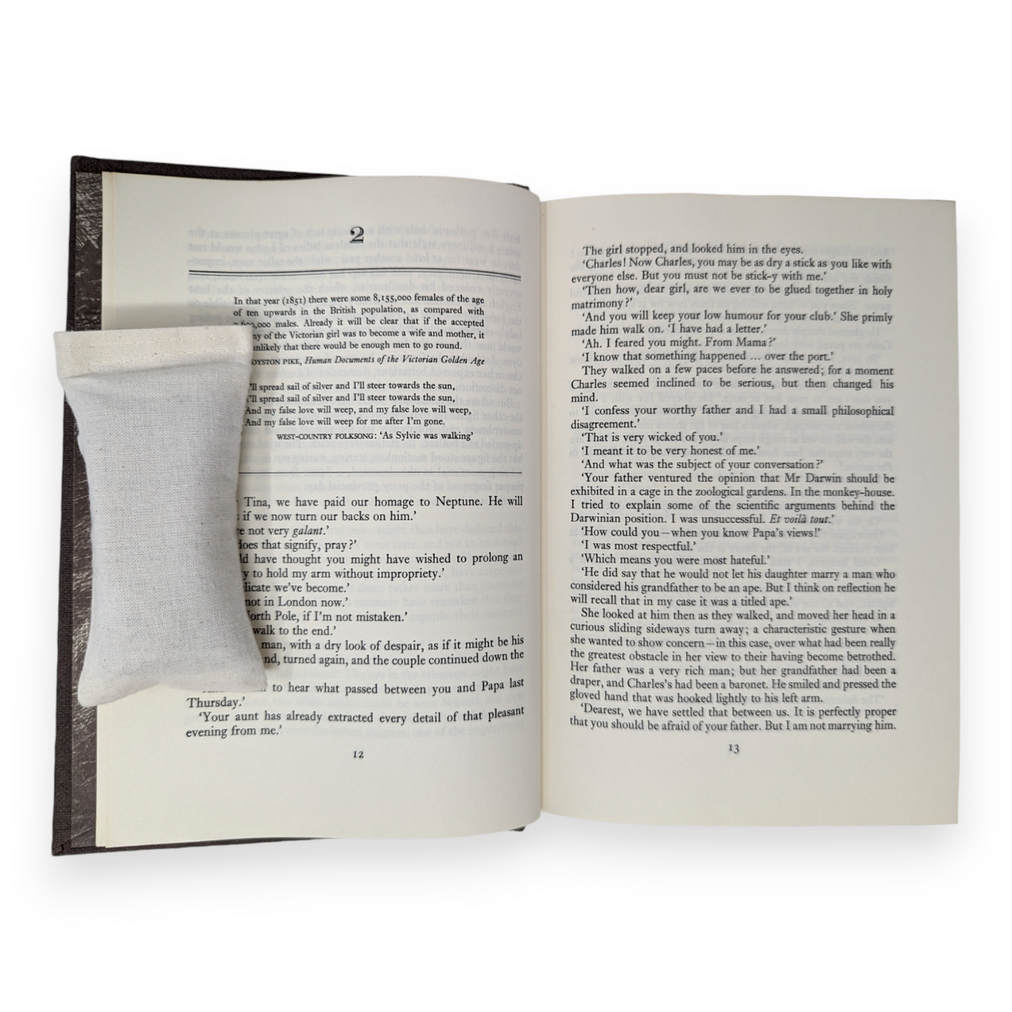 The French Lieutenant's Woman