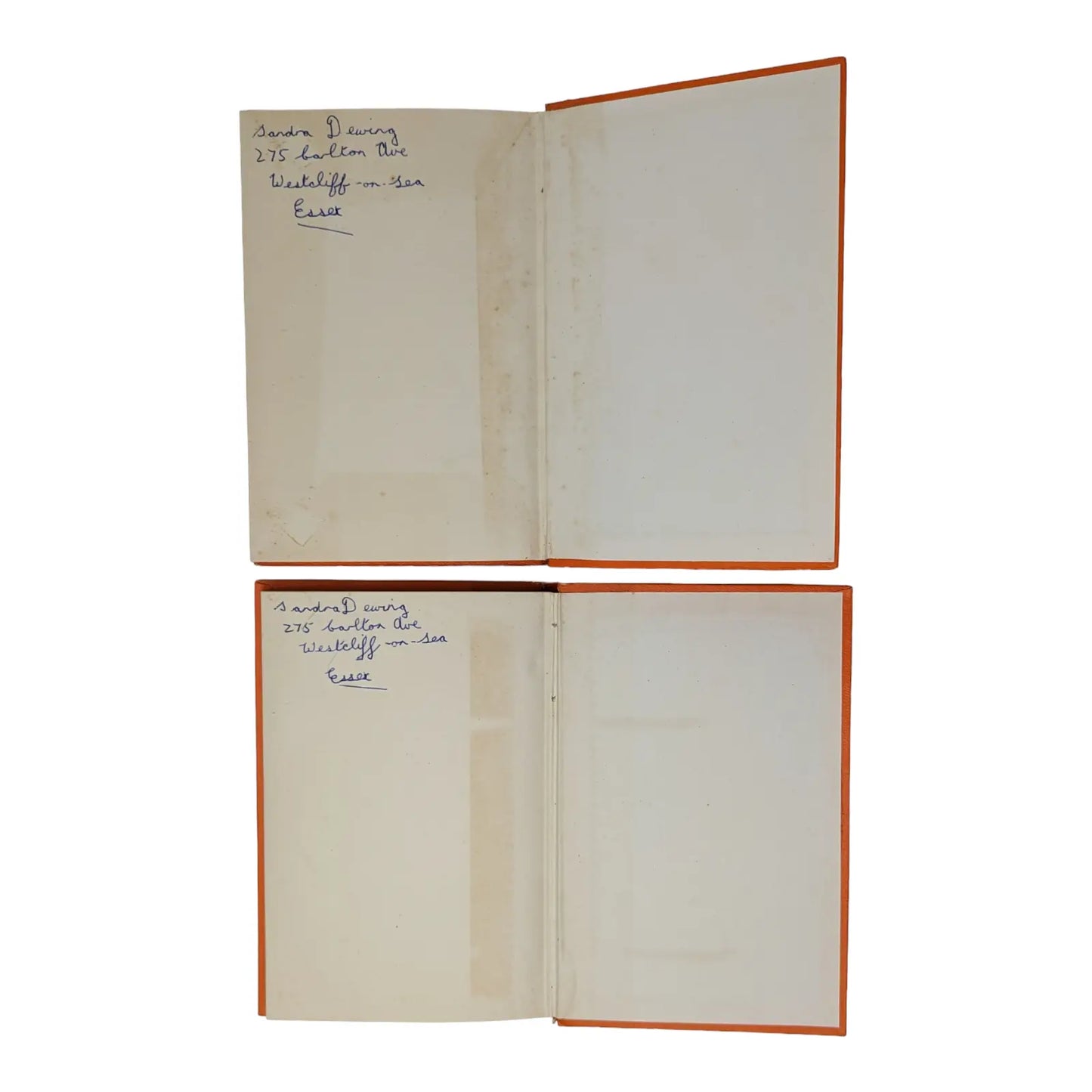 The Adventures of Pip & More Adventures