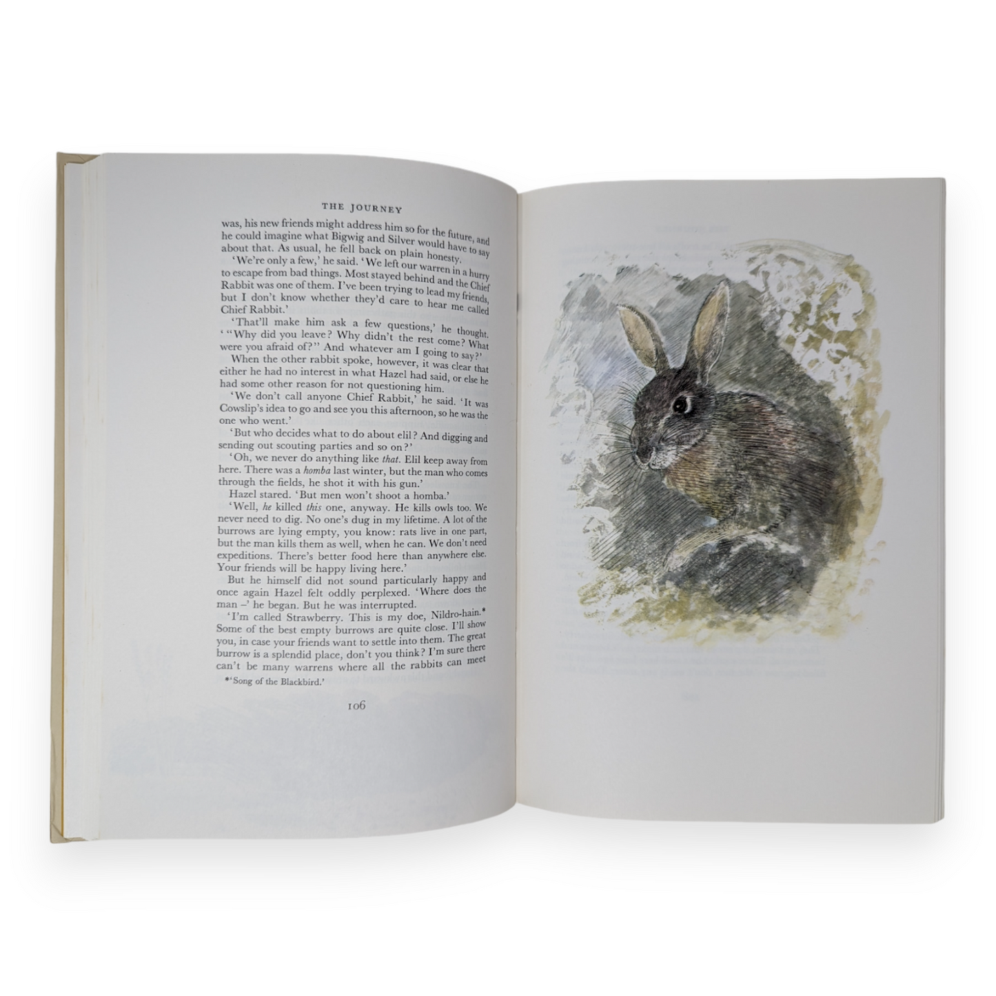 Watership Down