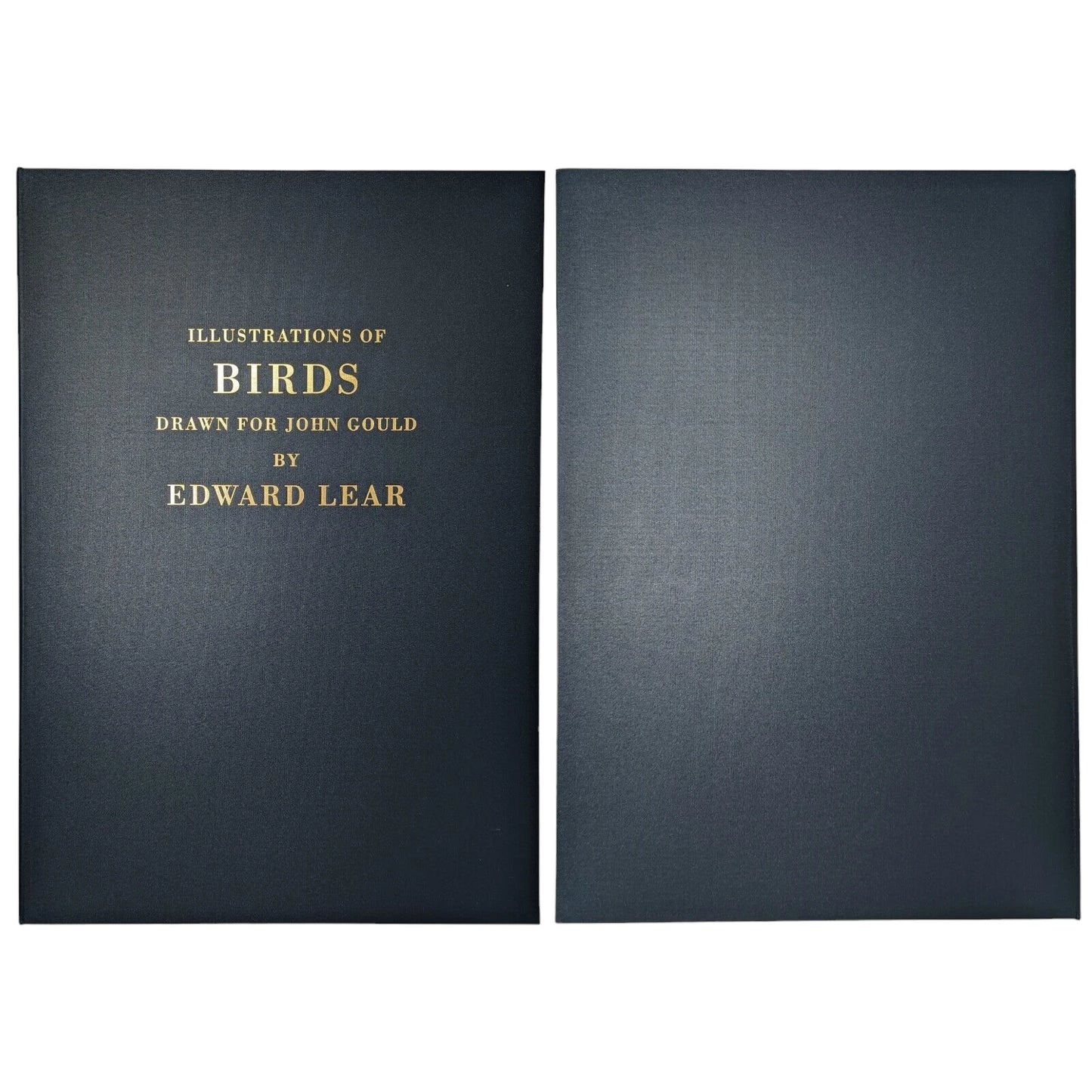 Illustrations of Birds Drawn for John Gould by Edward Lear (Numbered)