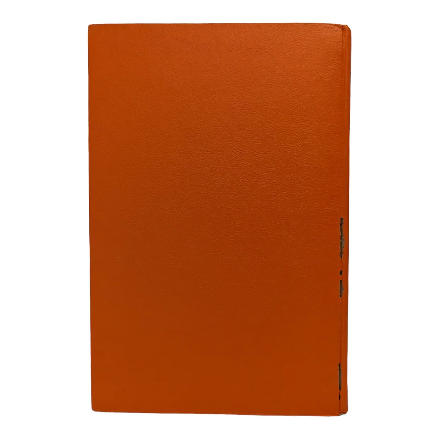 The Adventures of Pip & More Adventures