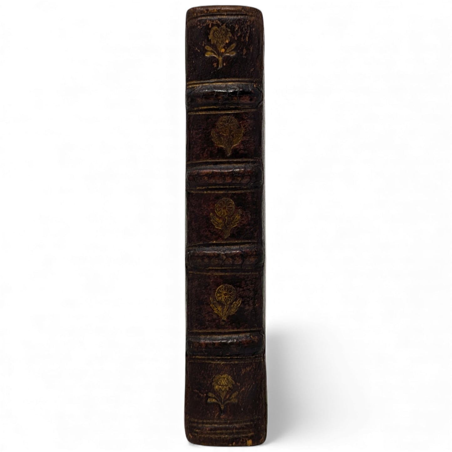 Fasciculus Sacrarum Litaniarum