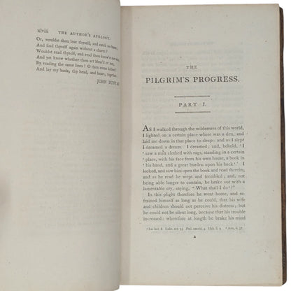 The Pilgrim's Progress