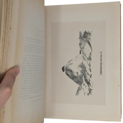 Peeps at the Past; or, Rambles Among Norfolk Antiquities