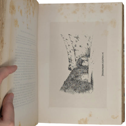 Peeps at the Past; or, Rambles Among Norfolk Antiquities