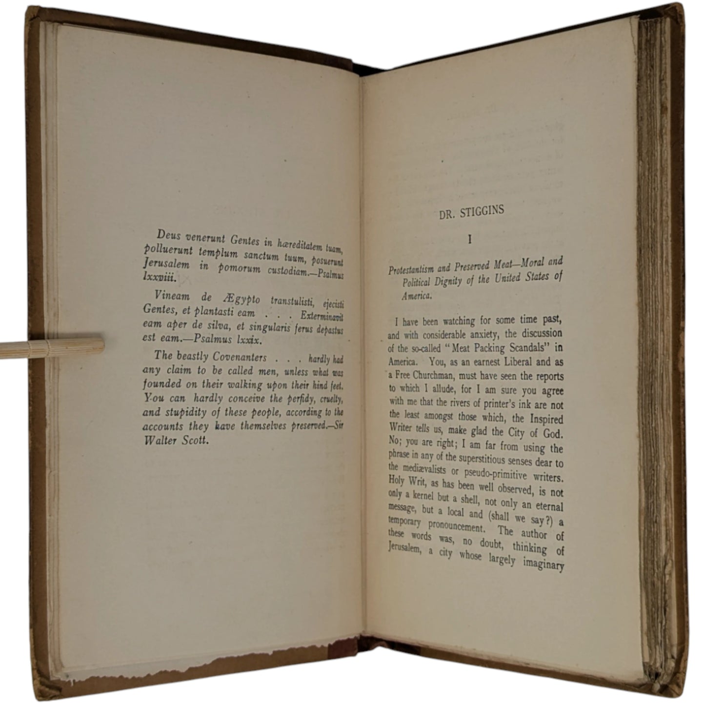 Dr. Stiggins: His Views and Principles. A Series of Interviews by Arthur Machen