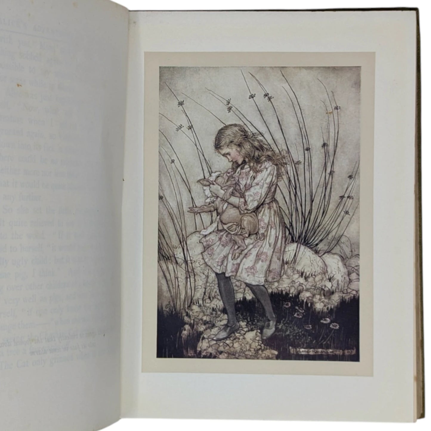 Alice's Adventures in Wonderland