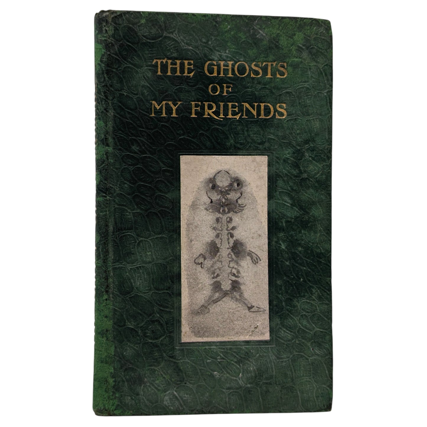 The Ghosts of My Friends